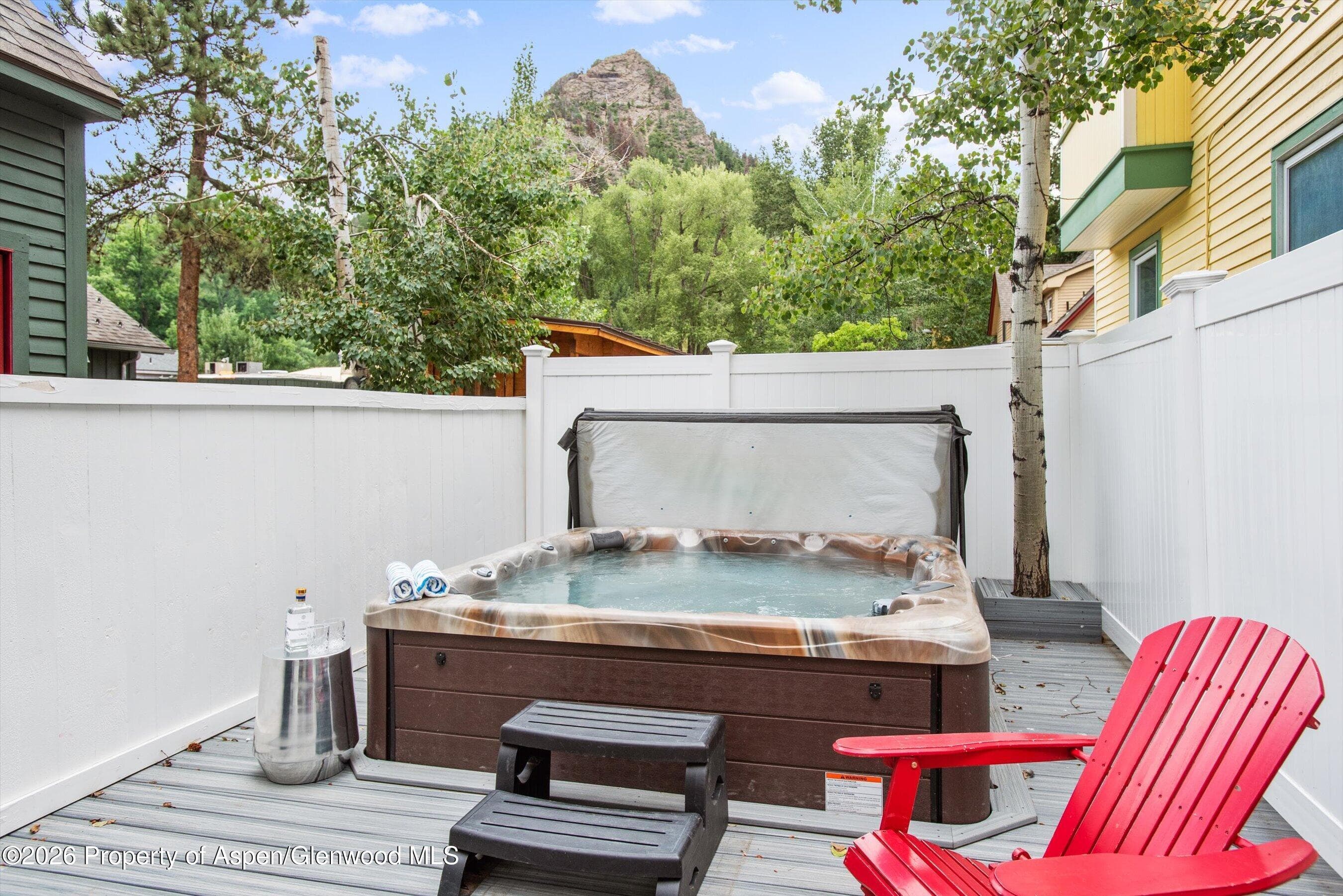 735 W Bleeker Street, Aspen, CO 81611 - Photo 26