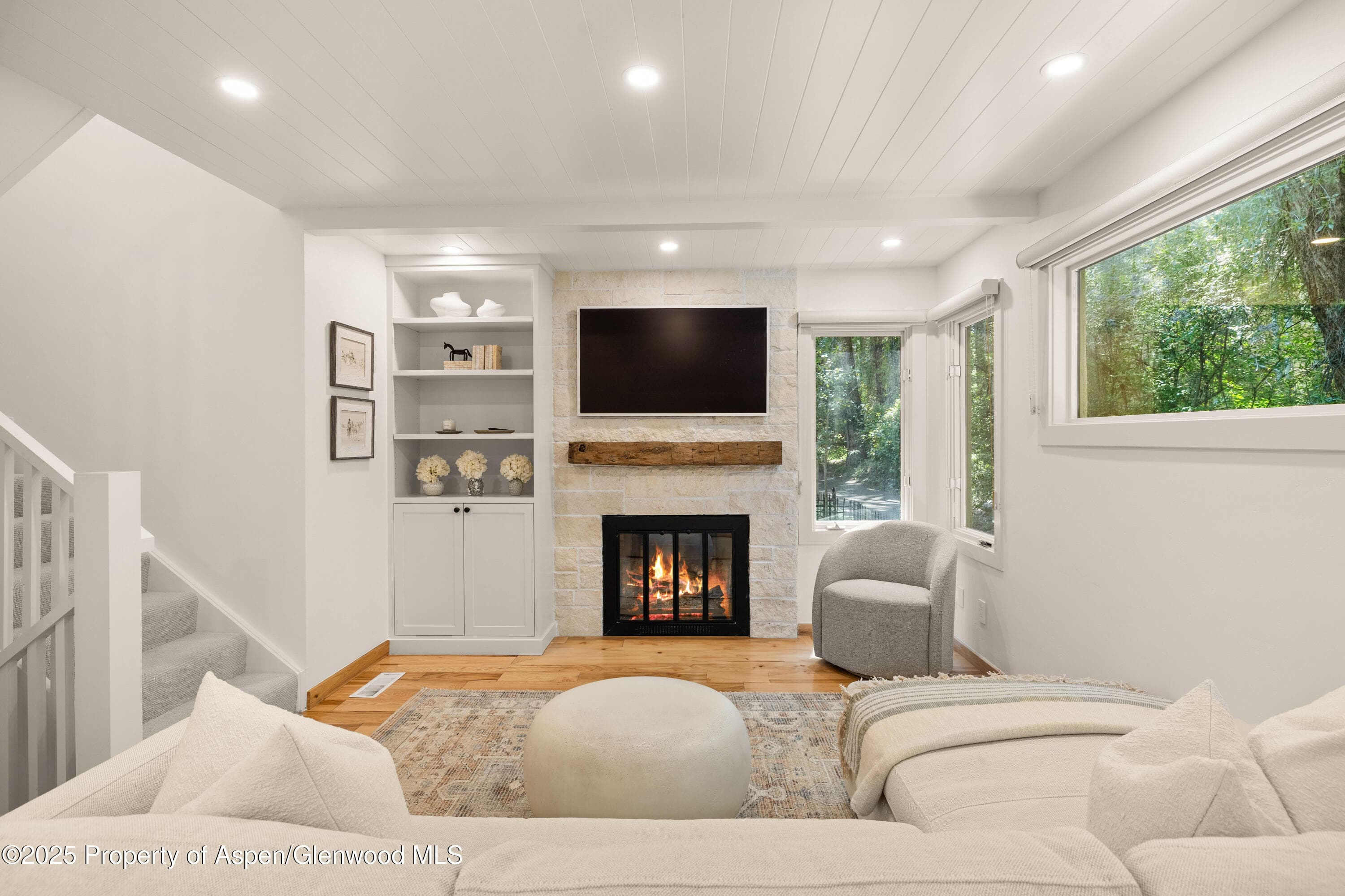 814 W Bleeker Street B2, Aspen, CO 81611