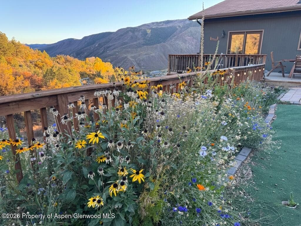 824 N Traver Trail, Glenwood Springs, CO 81601 - Photo 2