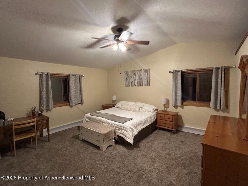 824 N Traver Trail, Glenwood Springs, CO 81601 - Photo 15