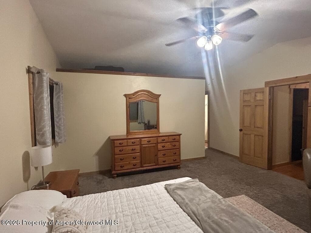824 N Traver Trail, Glenwood Springs, CO 81601 - Photo 16