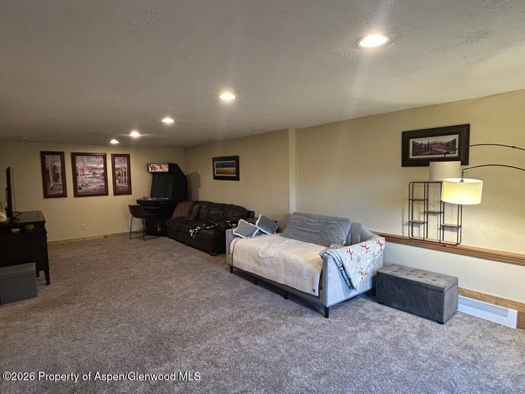 824 N Traver Trail, Glenwood Springs, CO 81601 - Photo 24