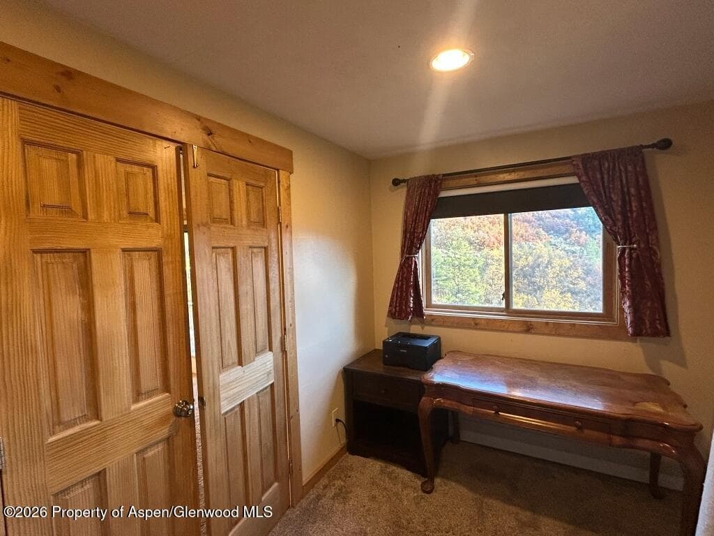 824 N Traver Trail, Glenwood Springs, CO 81601 - Photo 25