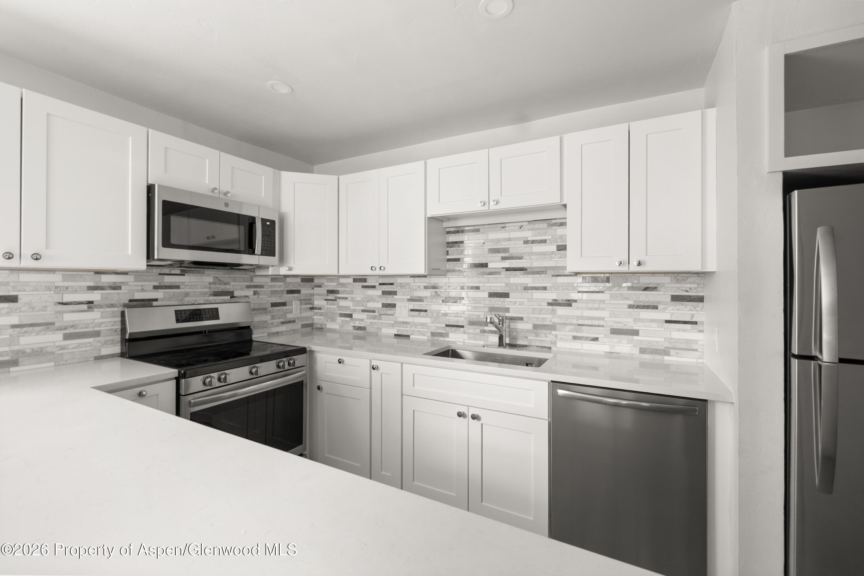 605 E Main Street #9, Aspen, CO 81611 - Photo 4