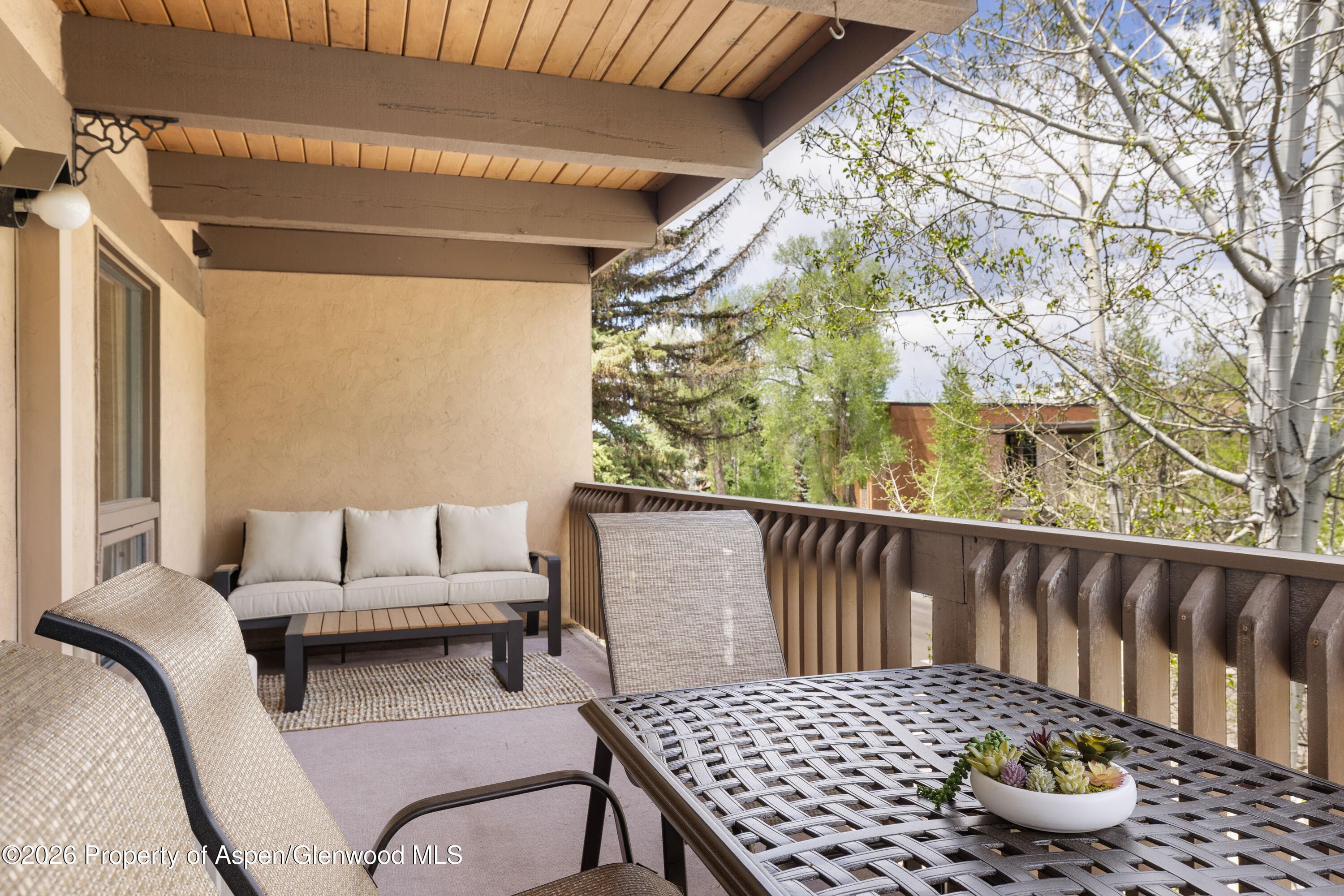 605 E Main Street #9, Aspen, CO 81611 - Photo 7