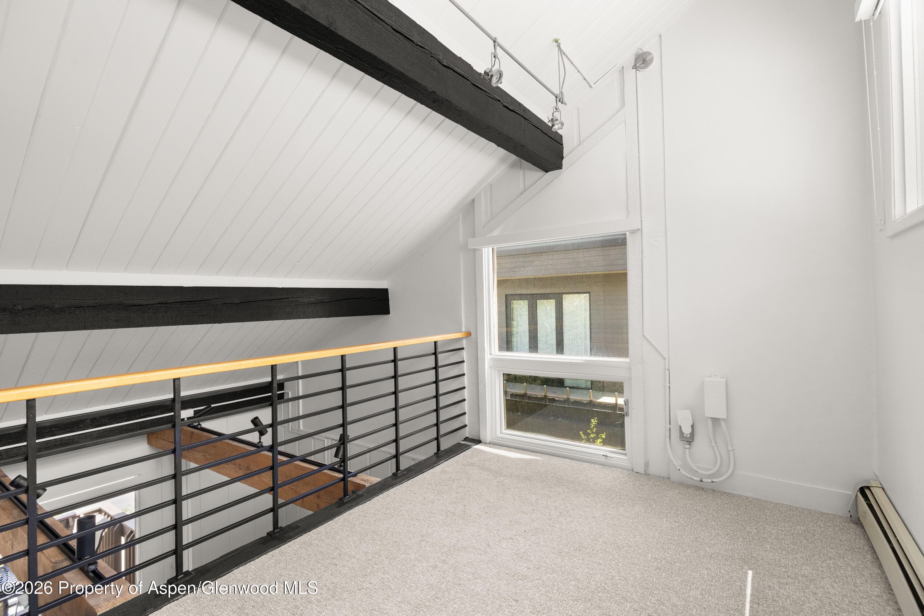 605 E Main Street #9, Aspen, CO 81611 - Photo 13