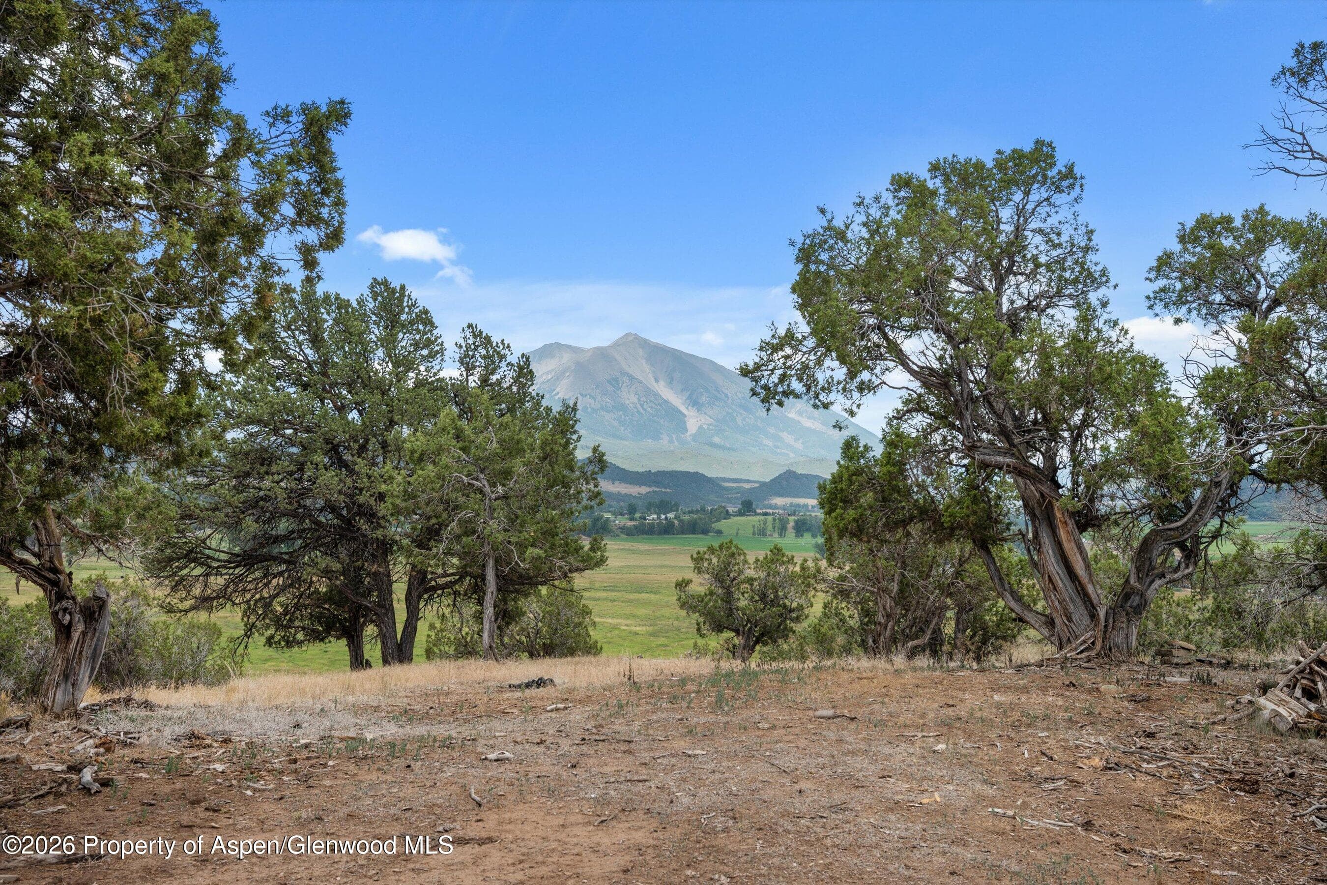 51 County Road 165, Carbondale, CO 81623 - Photo 10