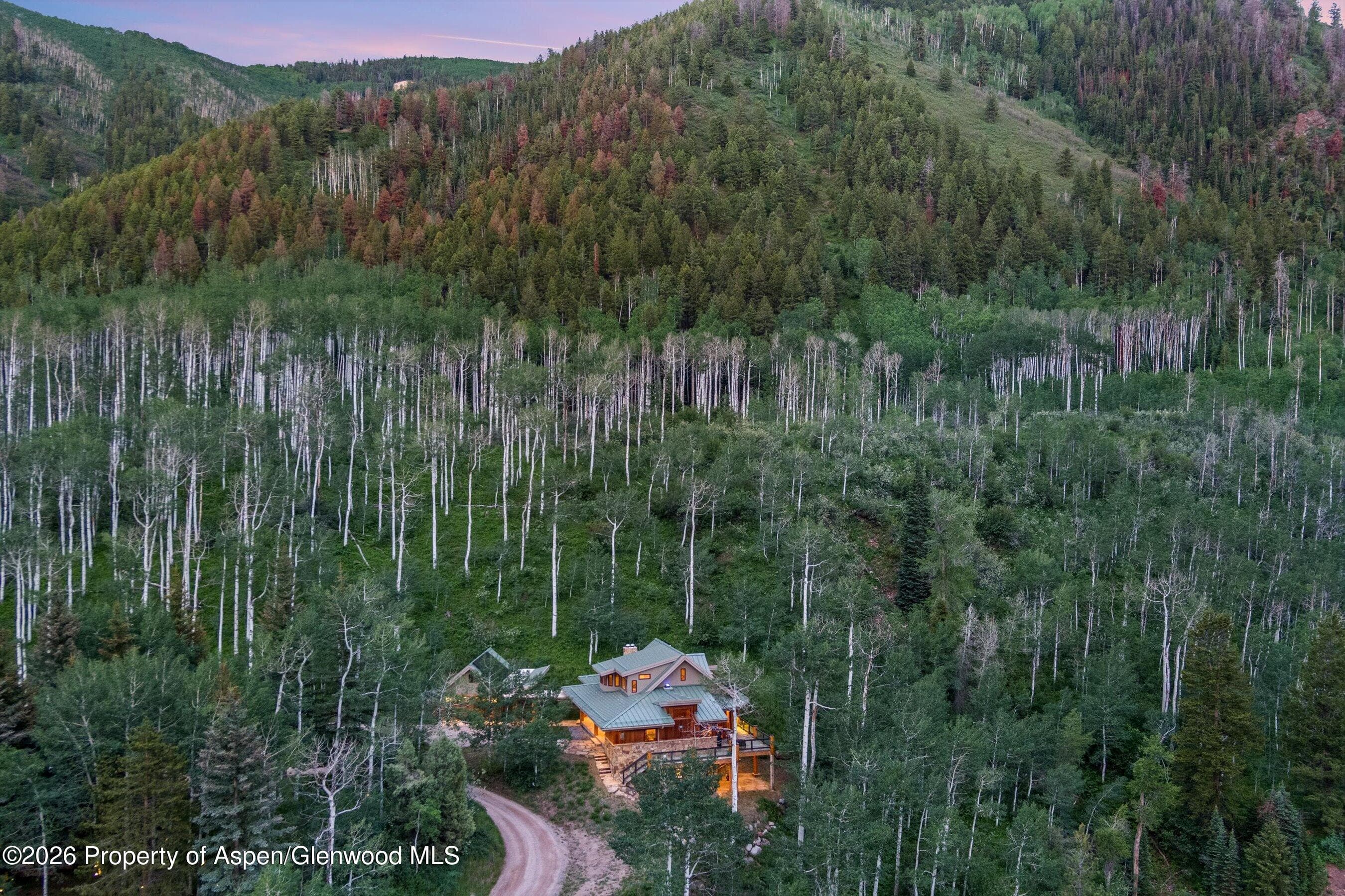 335 Hall Drive, Aspen, CO 81611 - Photo 8