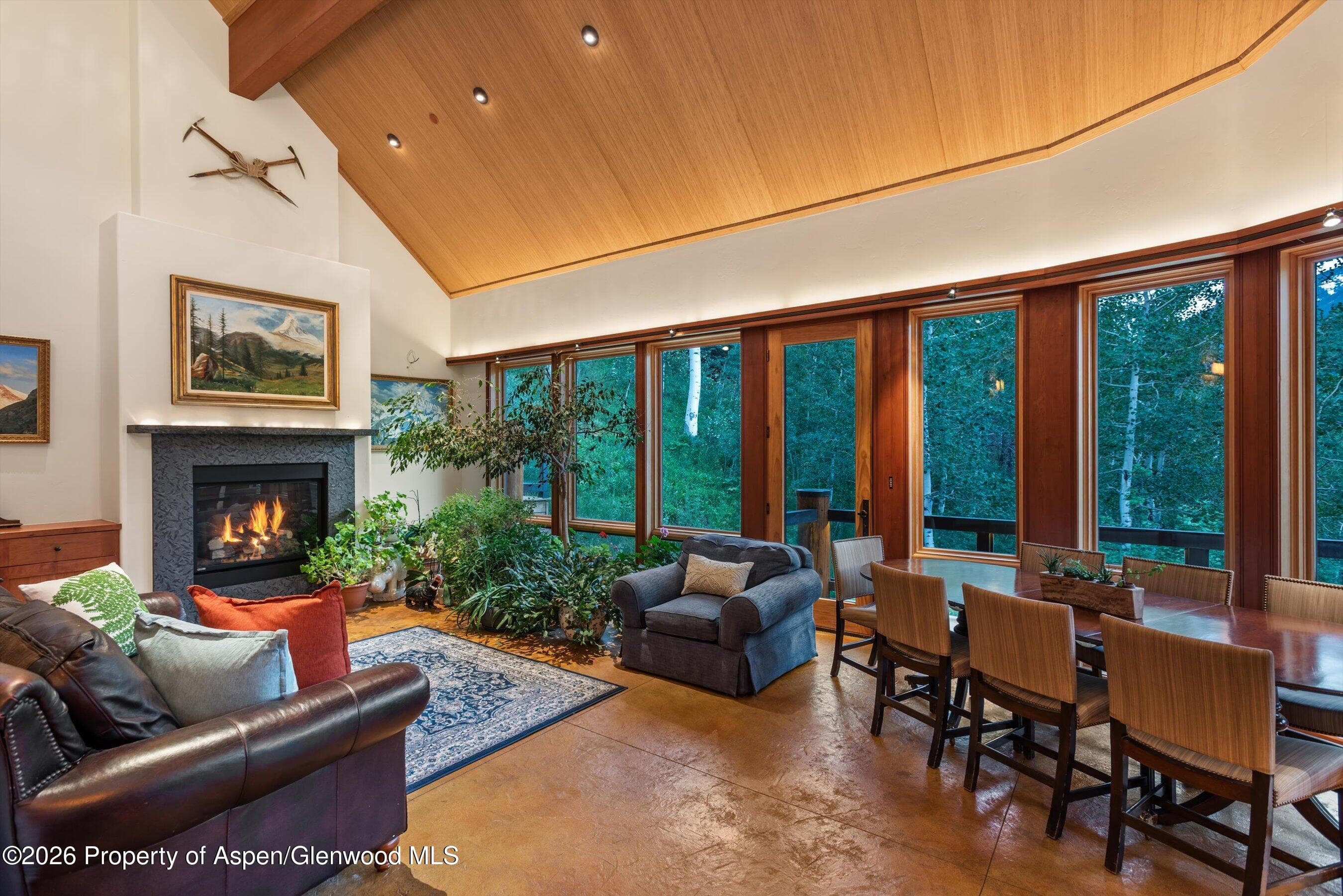 335 Hall Drive, Aspen, CO 81611 - Photo 20