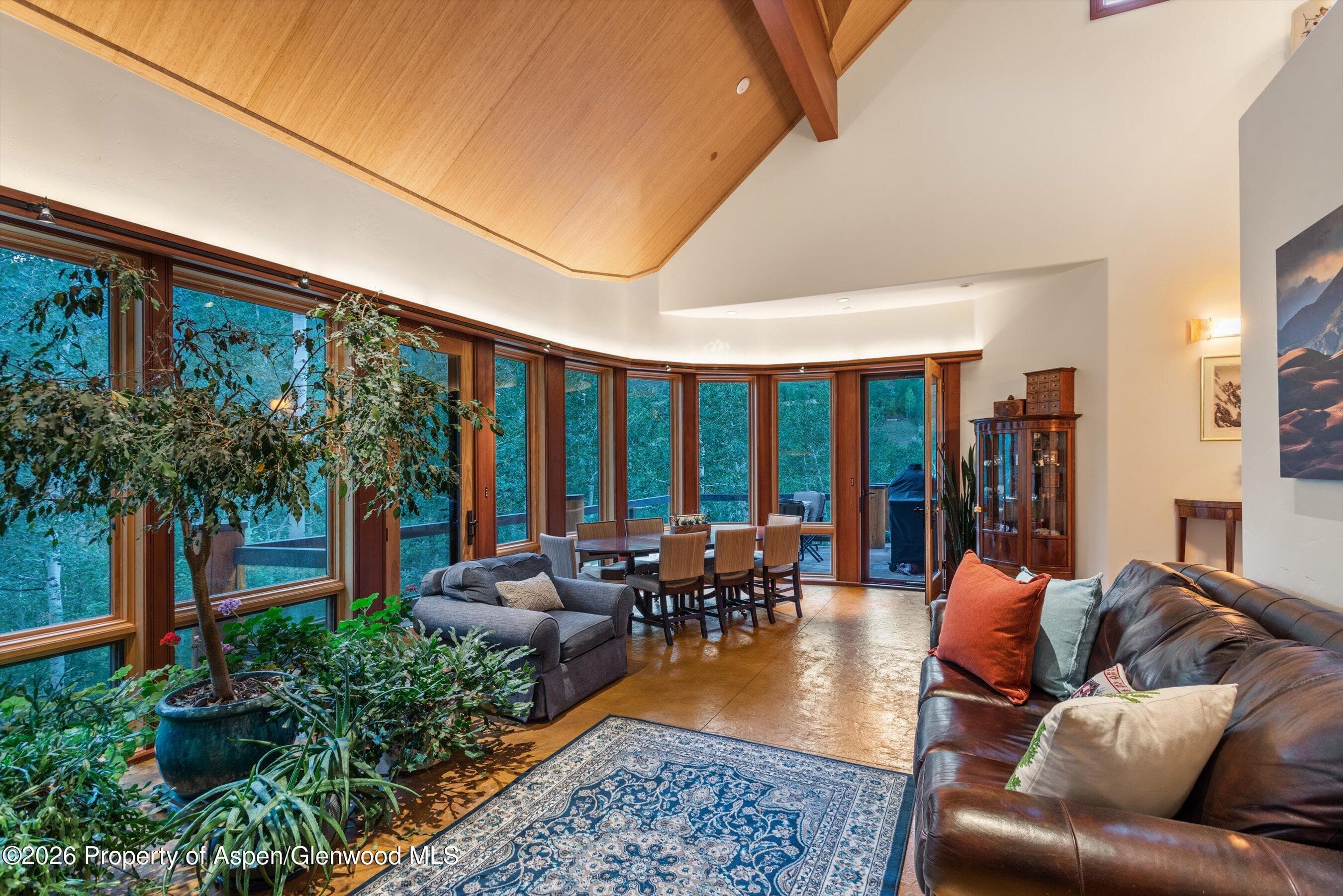 335 Hall Drive, Aspen, CO 81611 - Photo 22