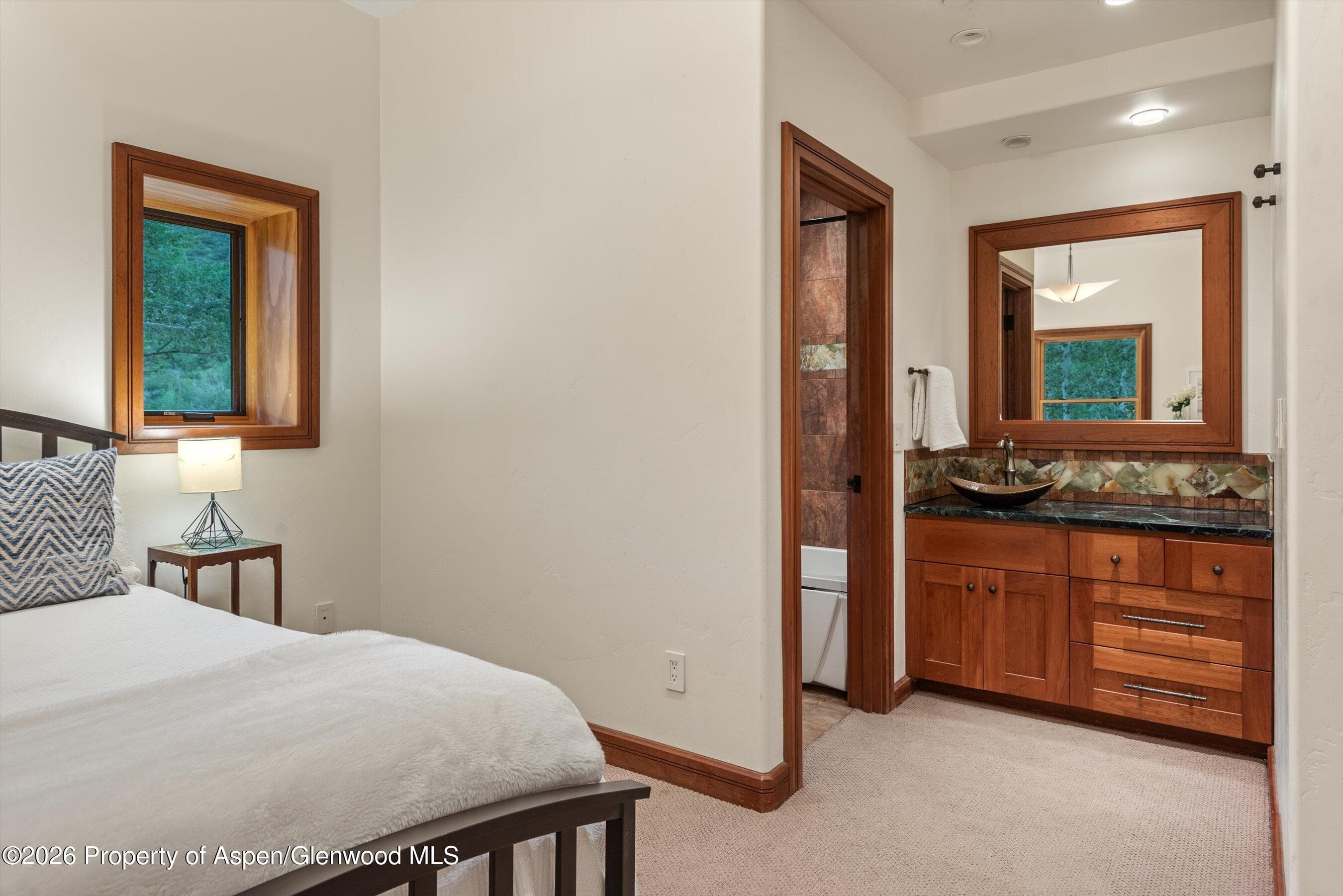 335 Hall Drive, Aspen, CO 81611 - Photo 41