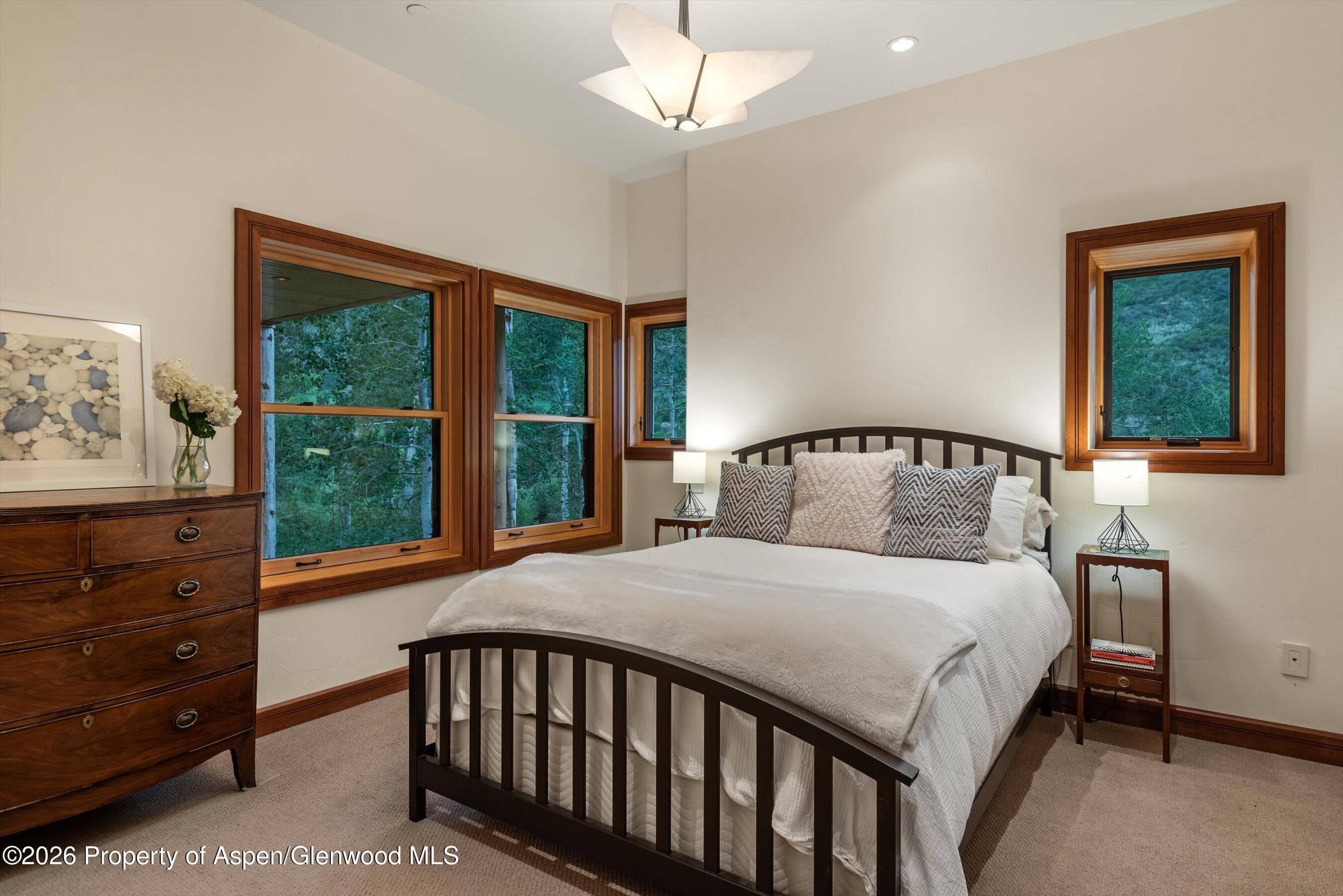 335 Hall Drive, Aspen, CO 81611 - Photo 42