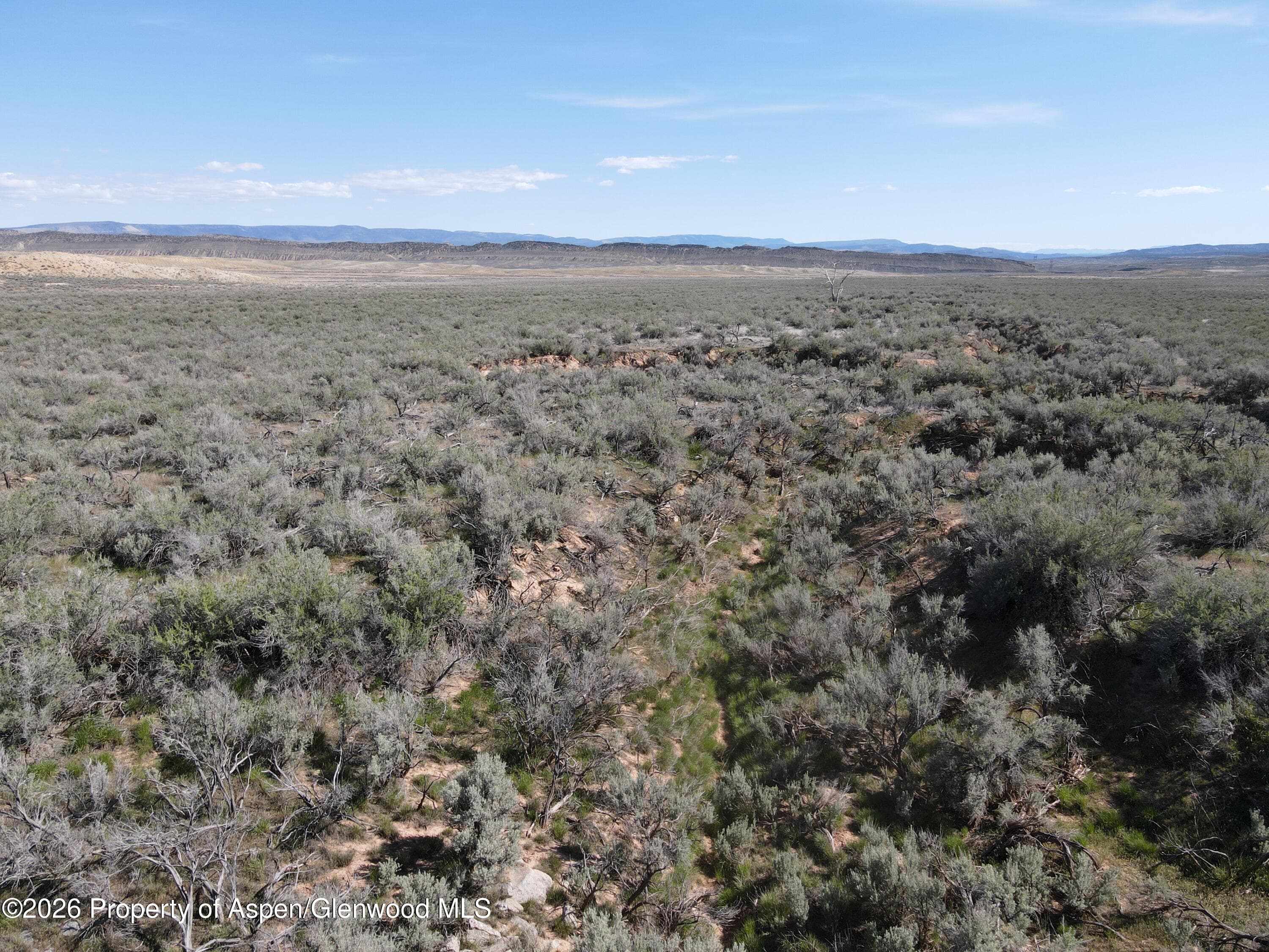 Tbd W Highway 40 115 Acres, Dinosaur, CO 81610 - Photo 10