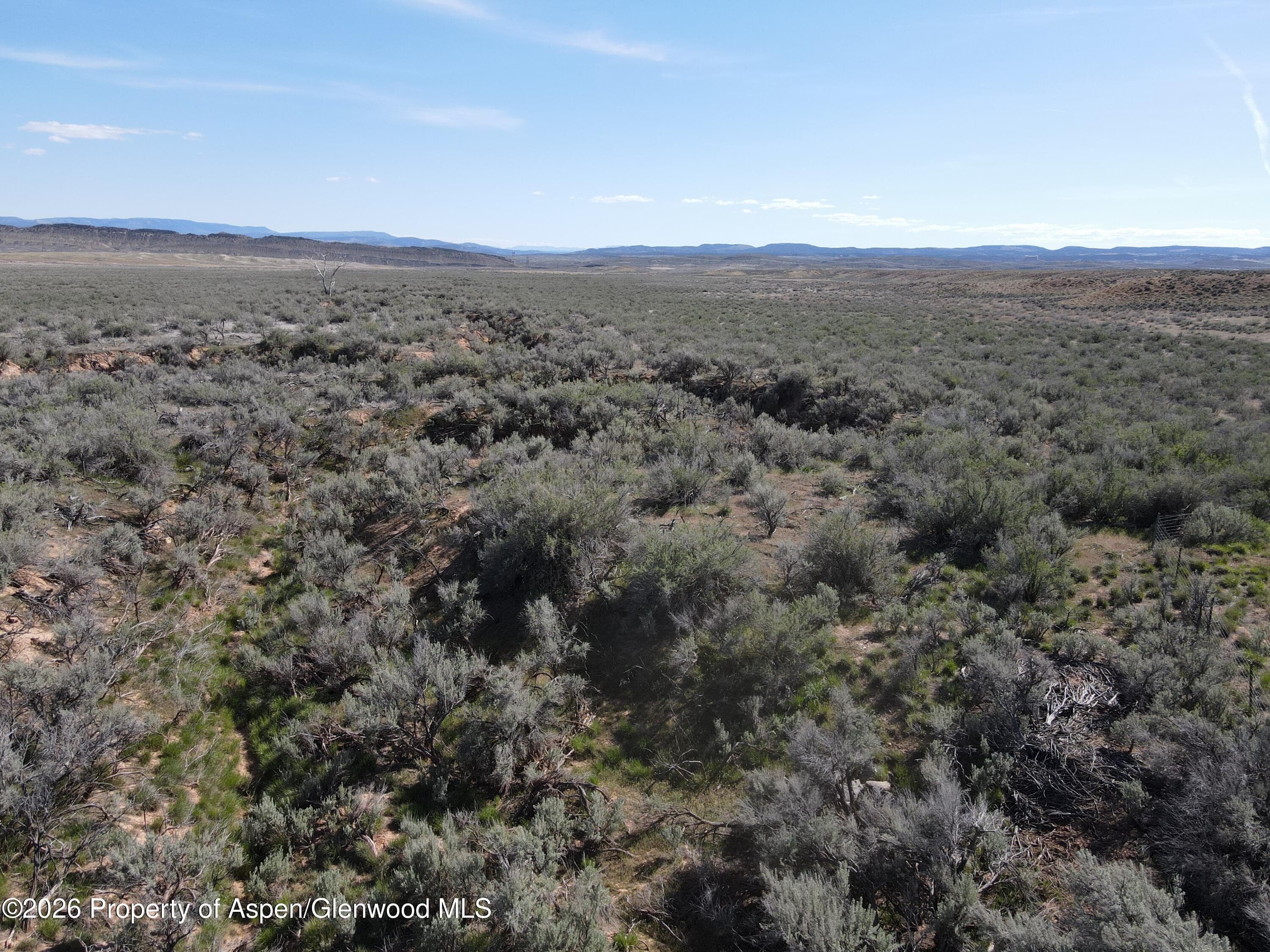 Tbd W Highway 40 115 Acres, Dinosaur, CO 81610 - Photo 11