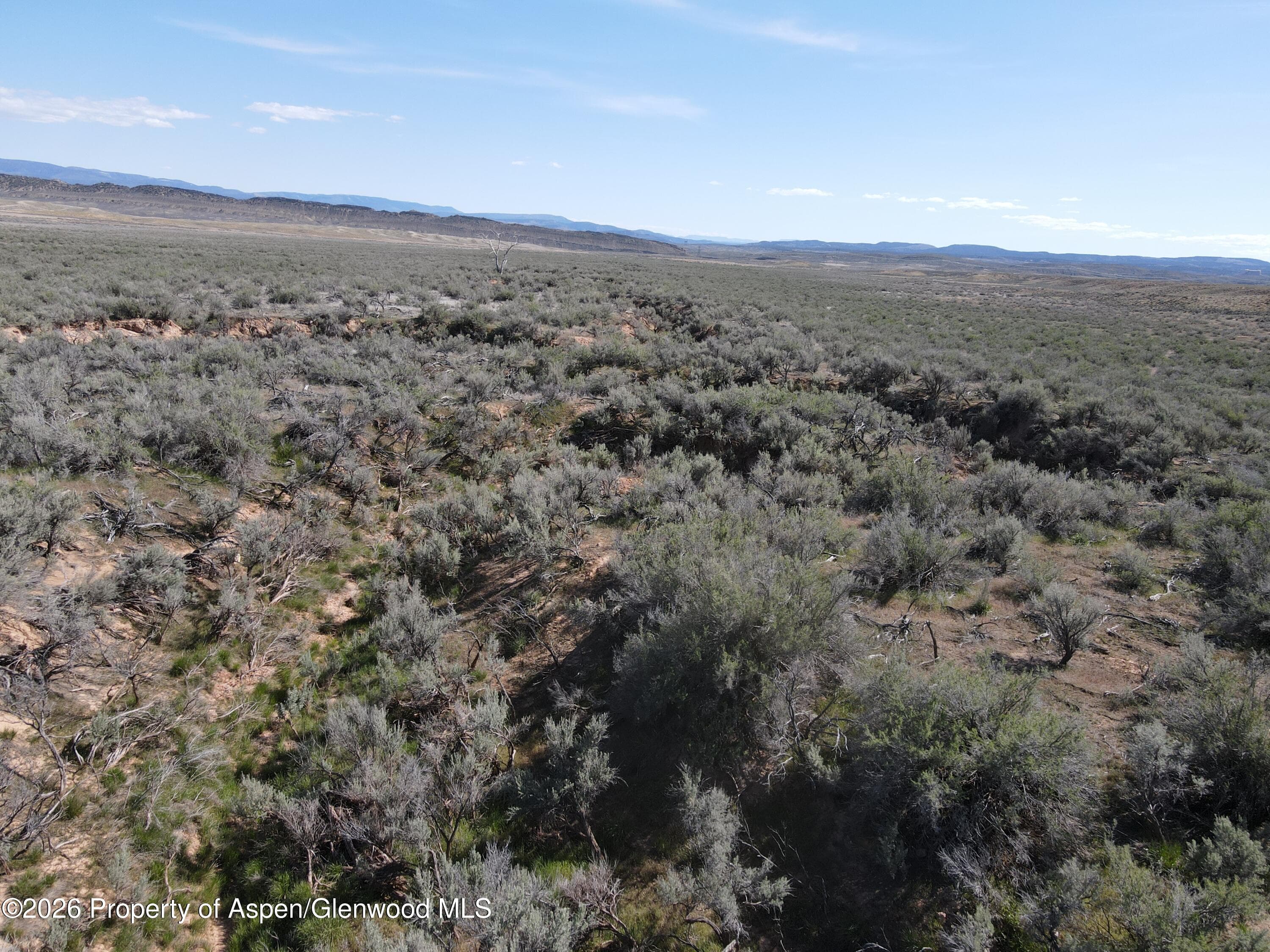 Tbd W Highway 40 115 Acres, Dinosaur, CO 81610 - Photo 12