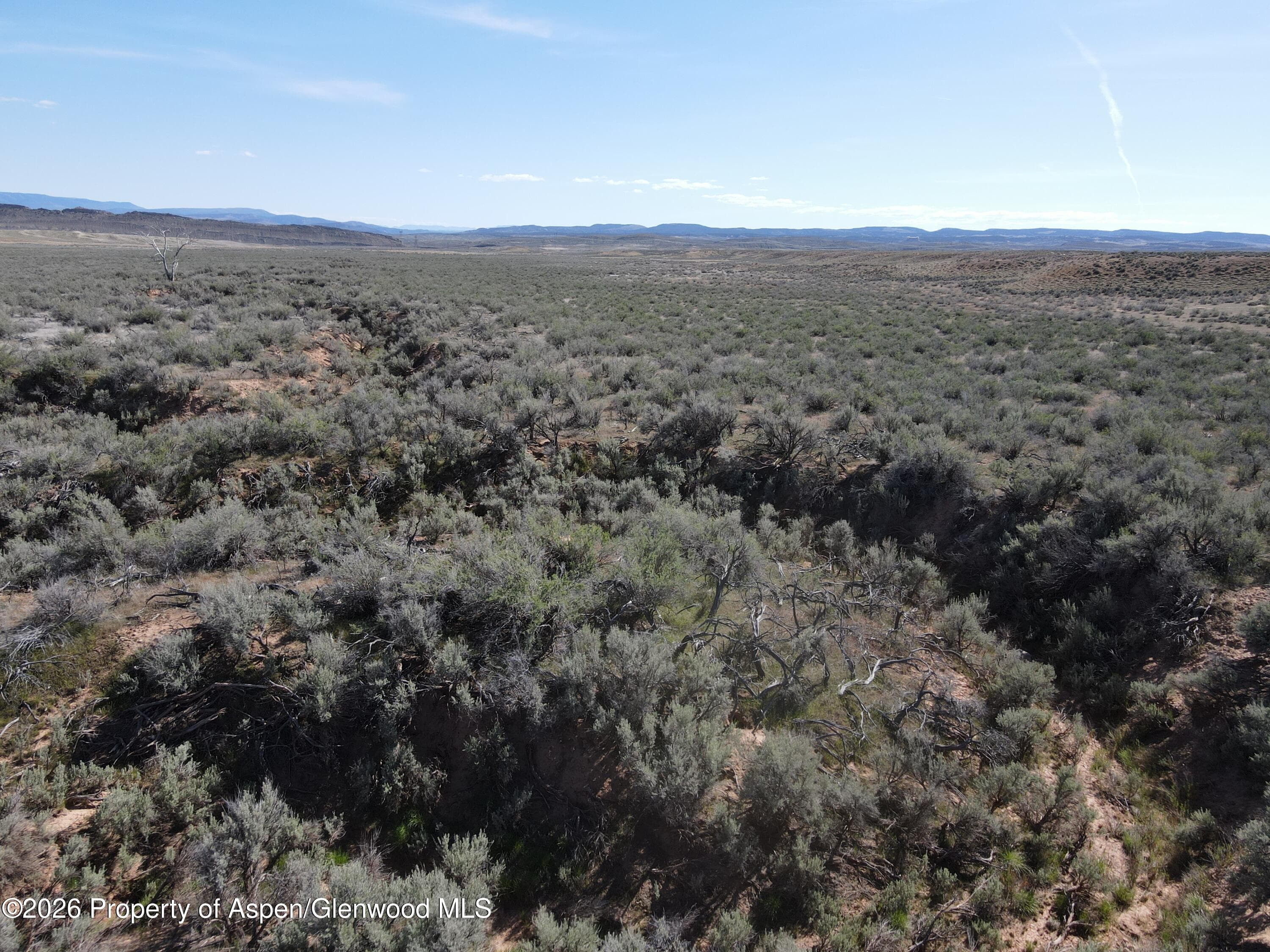 Tbd W Highway 40 115 Acres, Dinosaur, CO 81610 - Photo 13