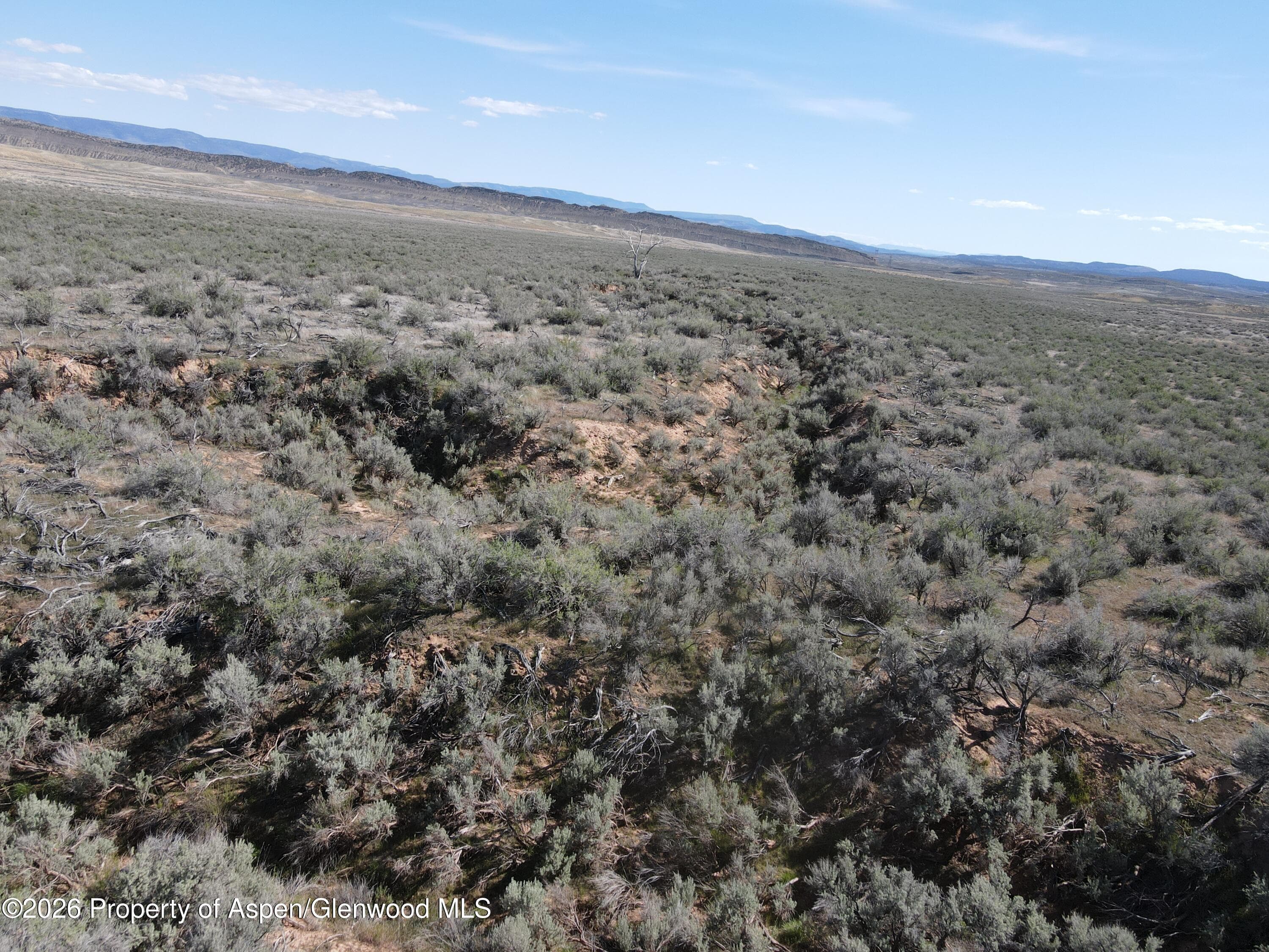 Tbd W Highway 40 115 Acres, Dinosaur, CO 81610 - Photo 14