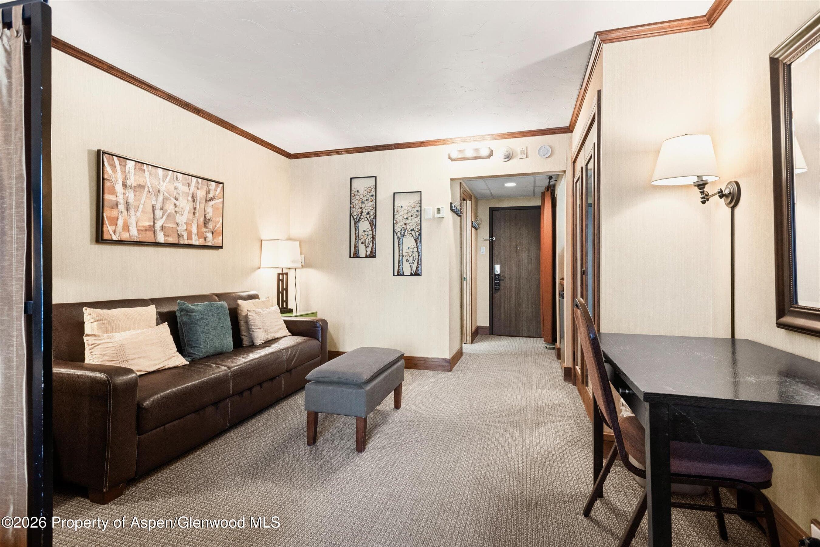38750 Highway 82 2203, Aspen, CO 81611 - Photo 4
