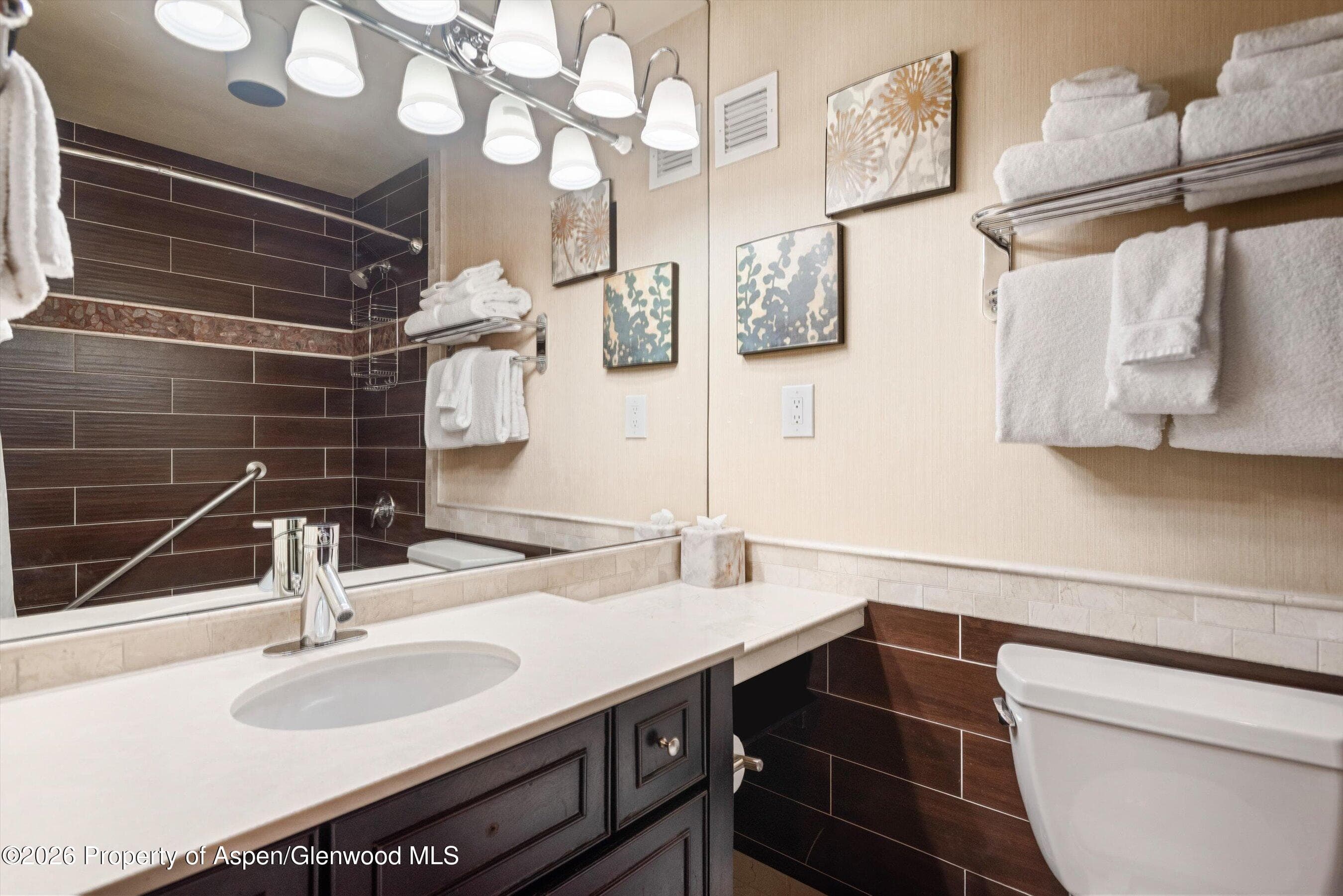 38750 Highway 82 2203, Aspen, CO 81611 - Photo 6