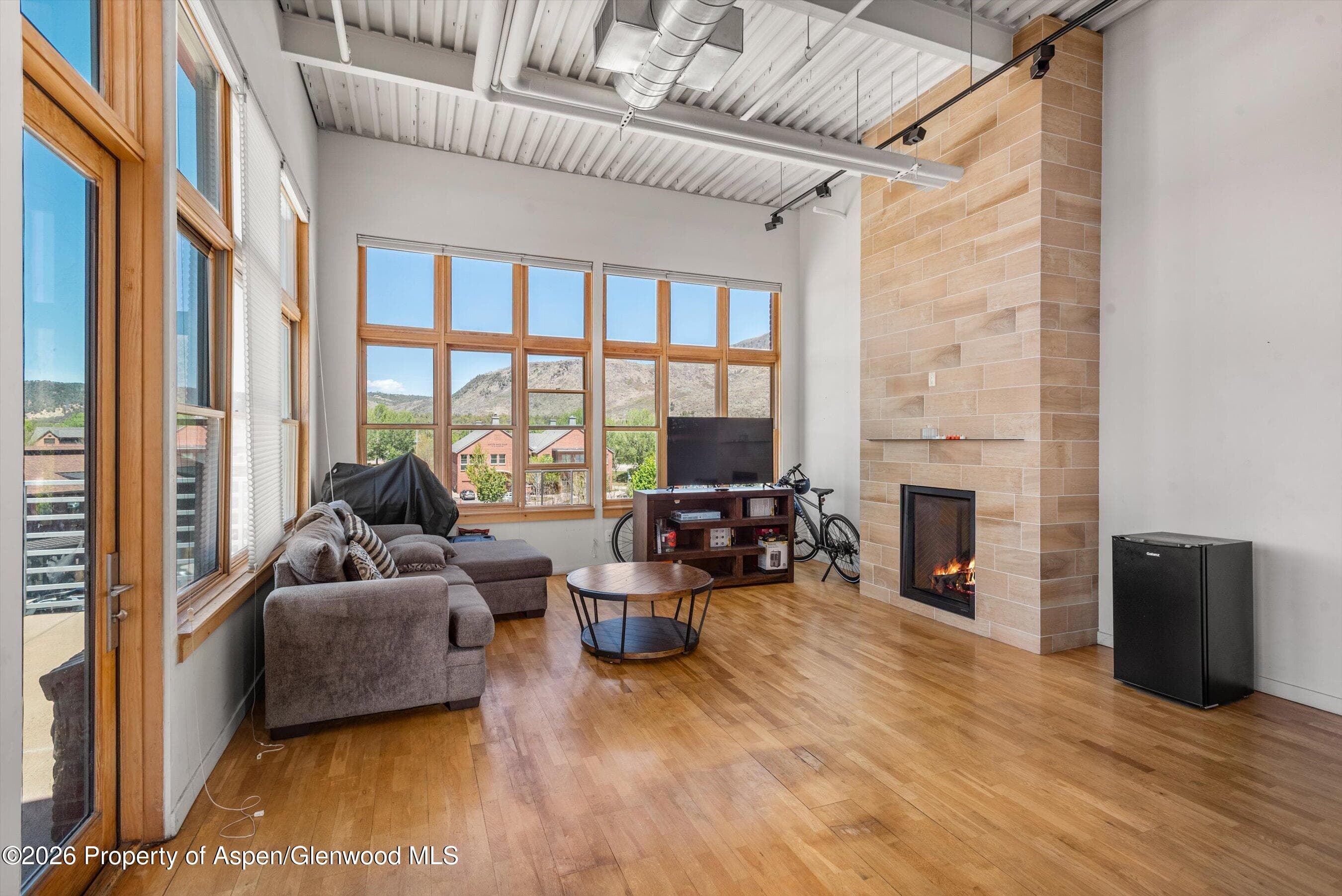 231 Robinson Street 312, Basalt, CO 81621 - Photo 6