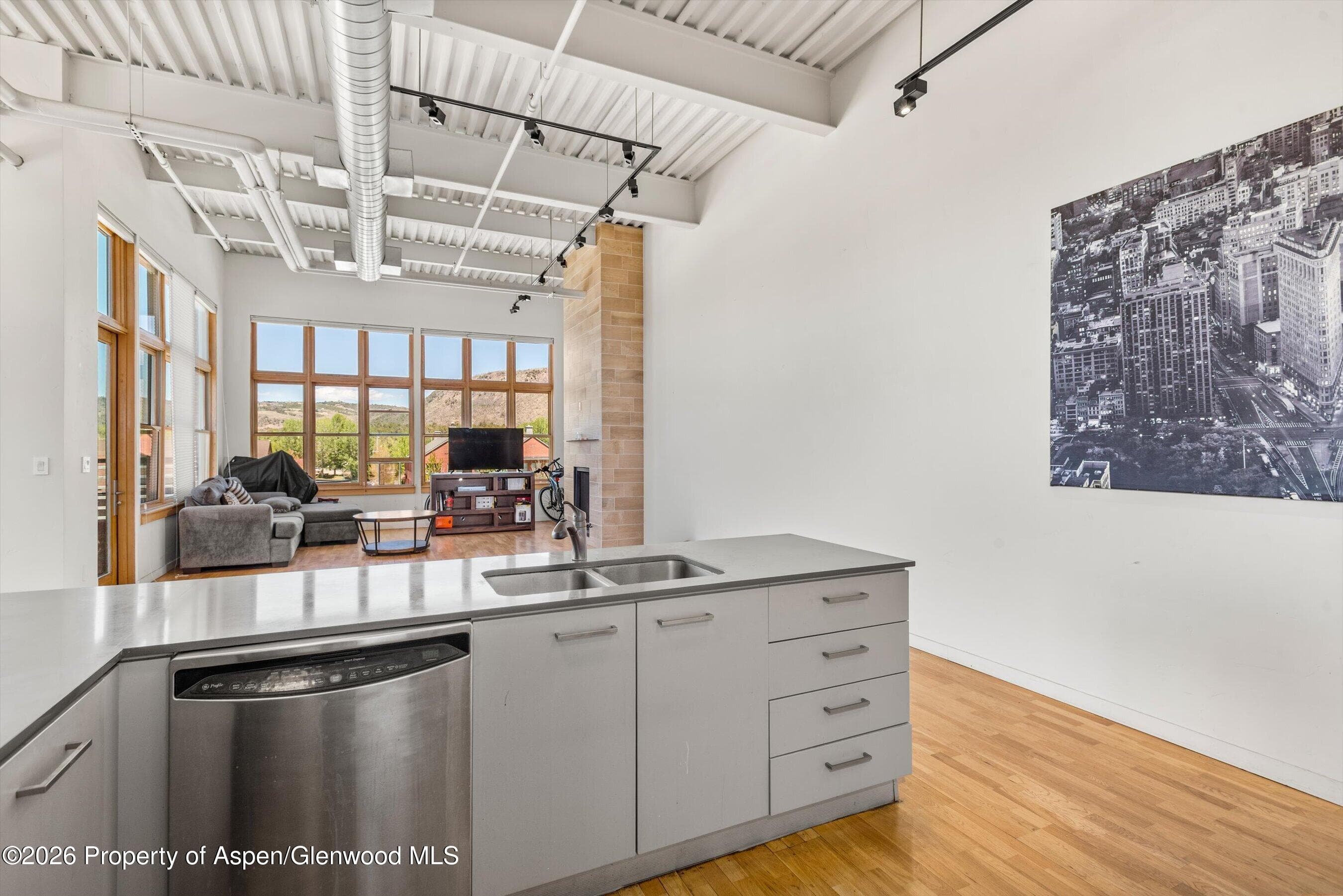 231 Robinson Street 312, Basalt, CO 81621 - Photo 13