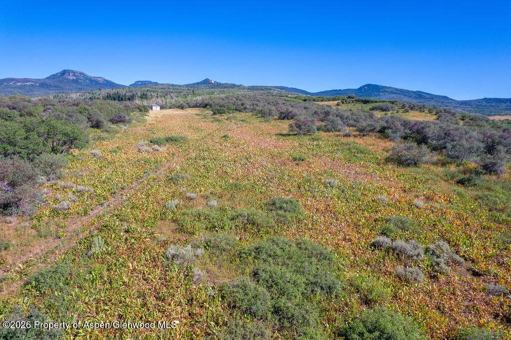 1750 Fiddleneck Drive Lot 44, Craig, CO 81625 - Photo 4