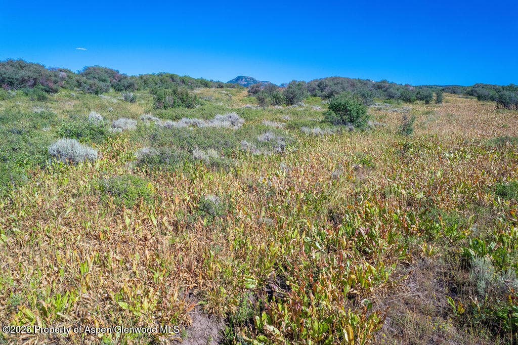 1750 Fiddleneck Drive Lot 44, Craig, CO 81625 - Photo 5