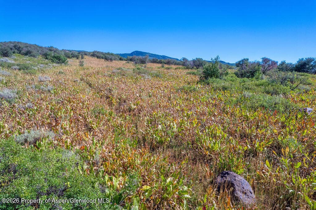 1750 Fiddleneck Drive Lot 44, Craig, CO 81625 - Photo 6