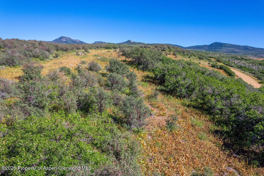 1750 Fiddleneck Drive Lot 44, Craig, CO 81625 - Photo 8