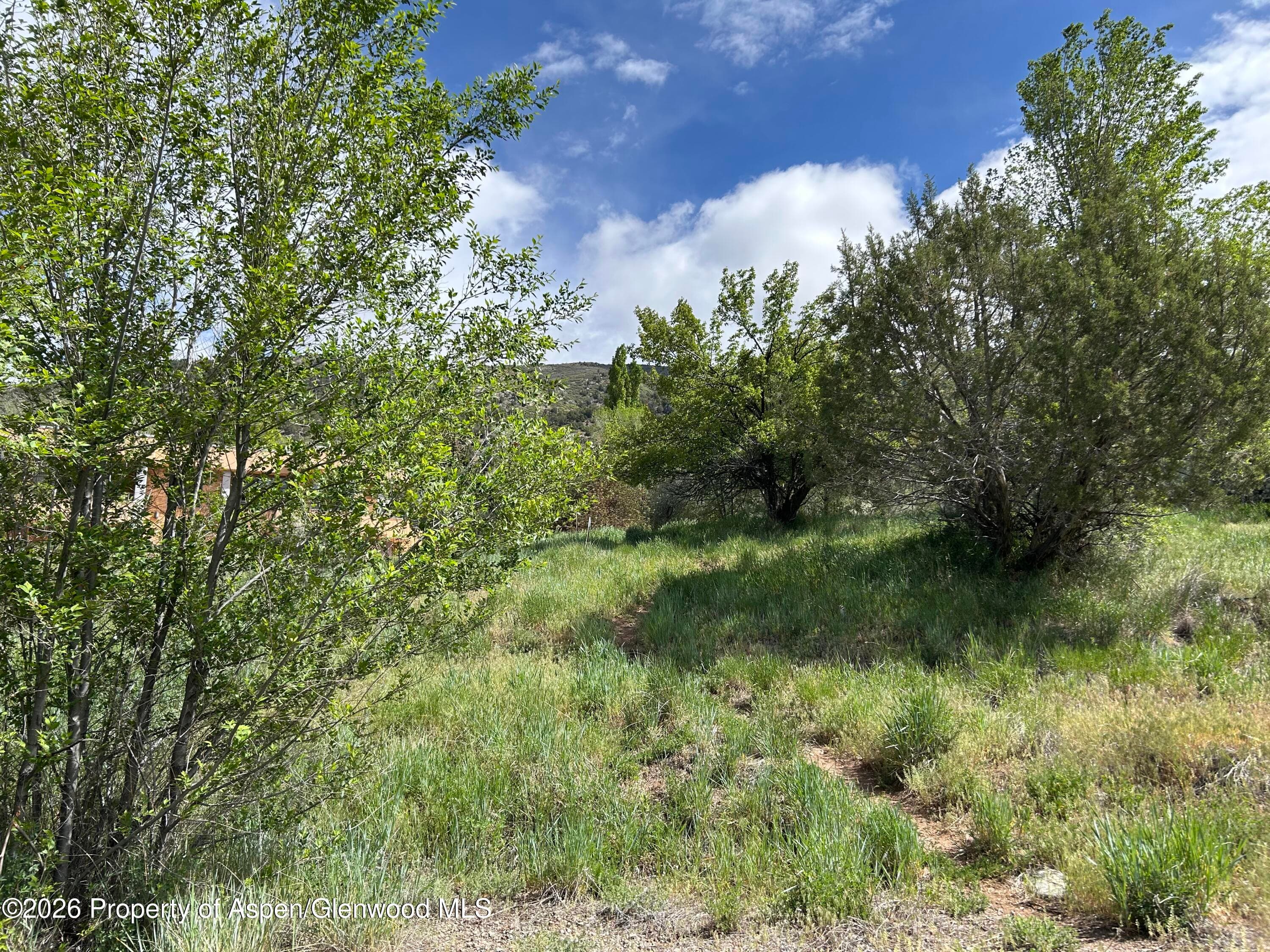 850 Greenway Drive, Glenwood Springs, CO 81601 - Photo 11