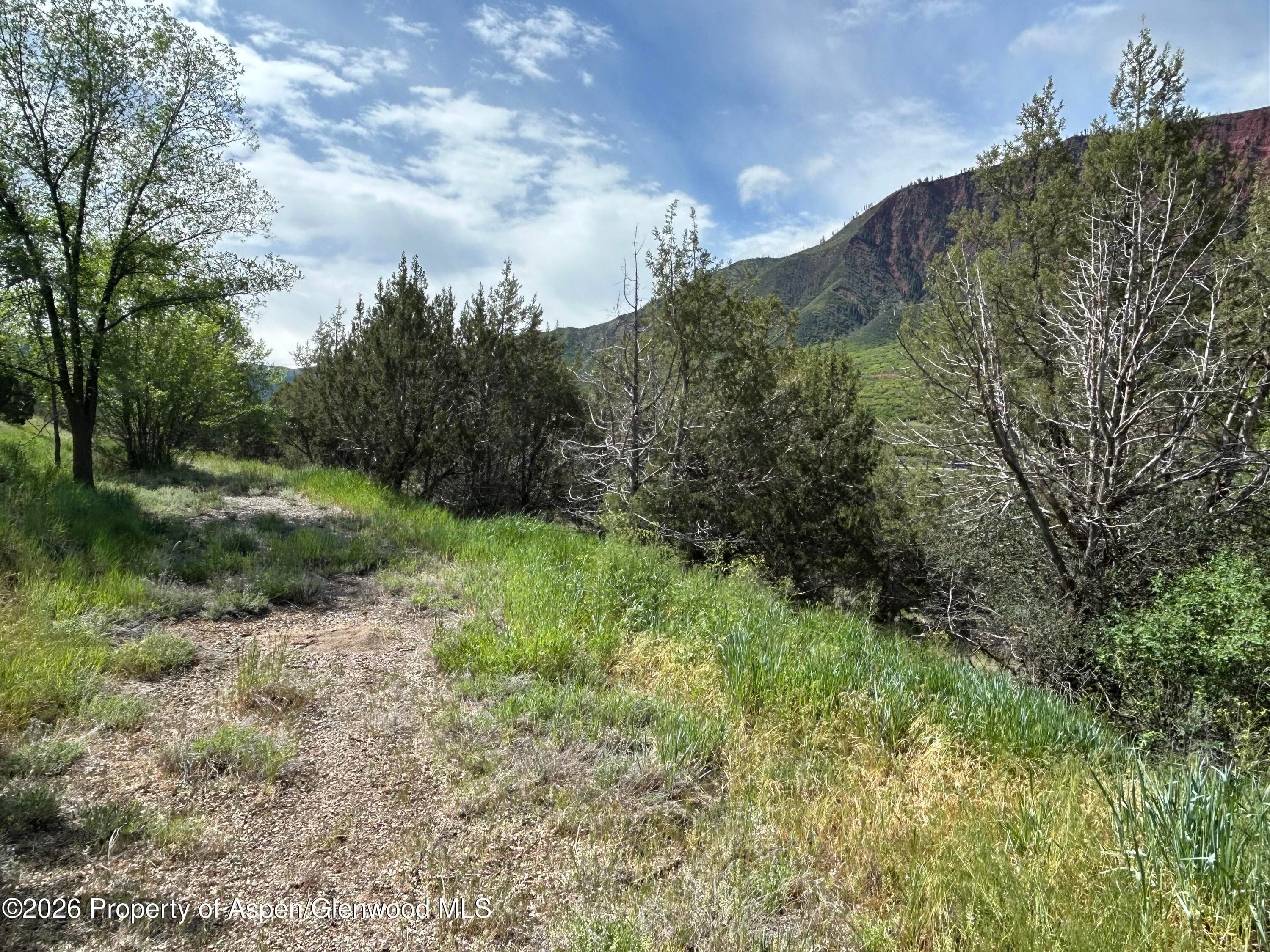 850 Greenway Drive, Glenwood Springs, CO 81601 - Photo 16