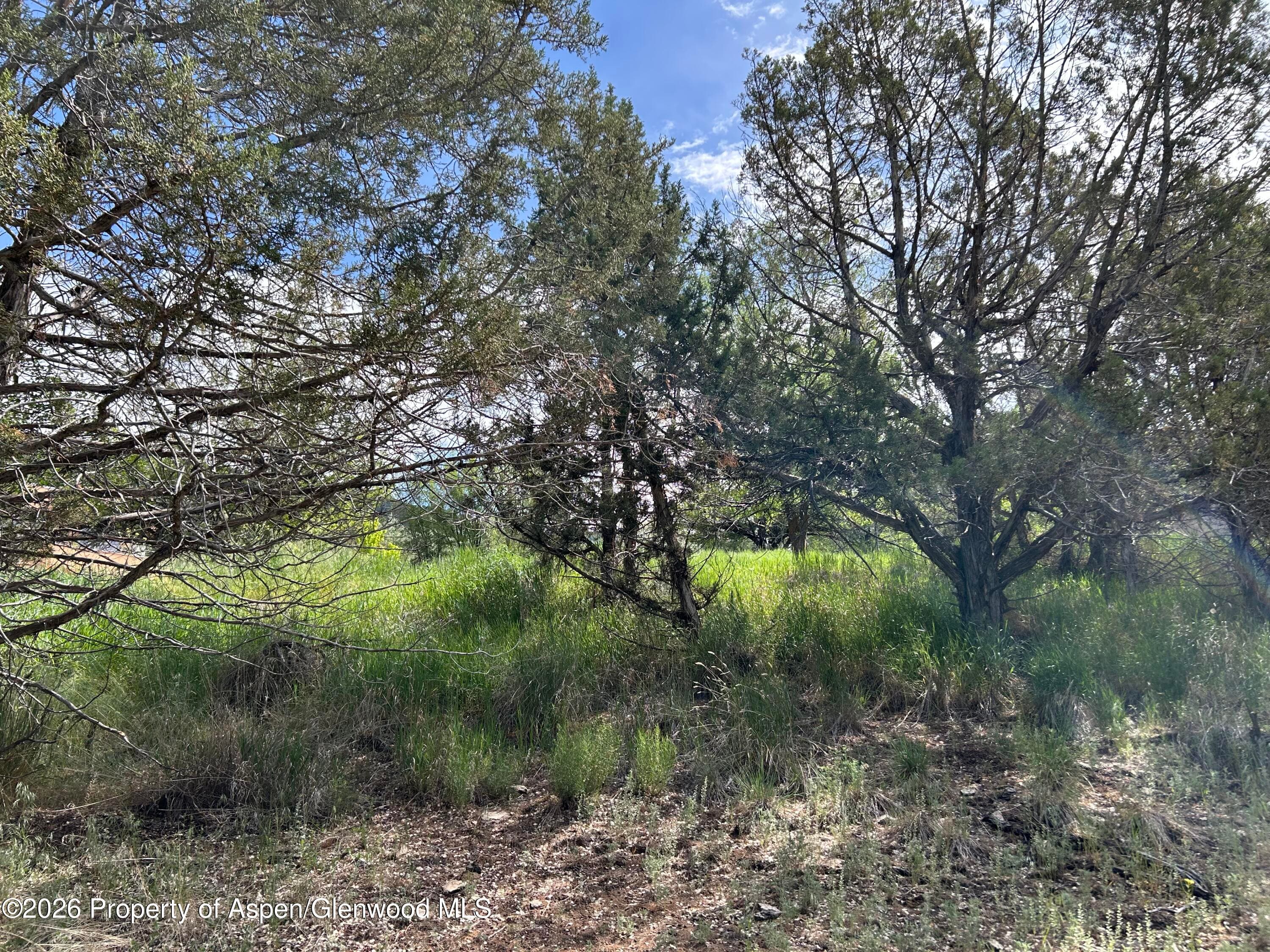 850 Greenway Drive, Glenwood Springs, CO 81601 - Photo 14