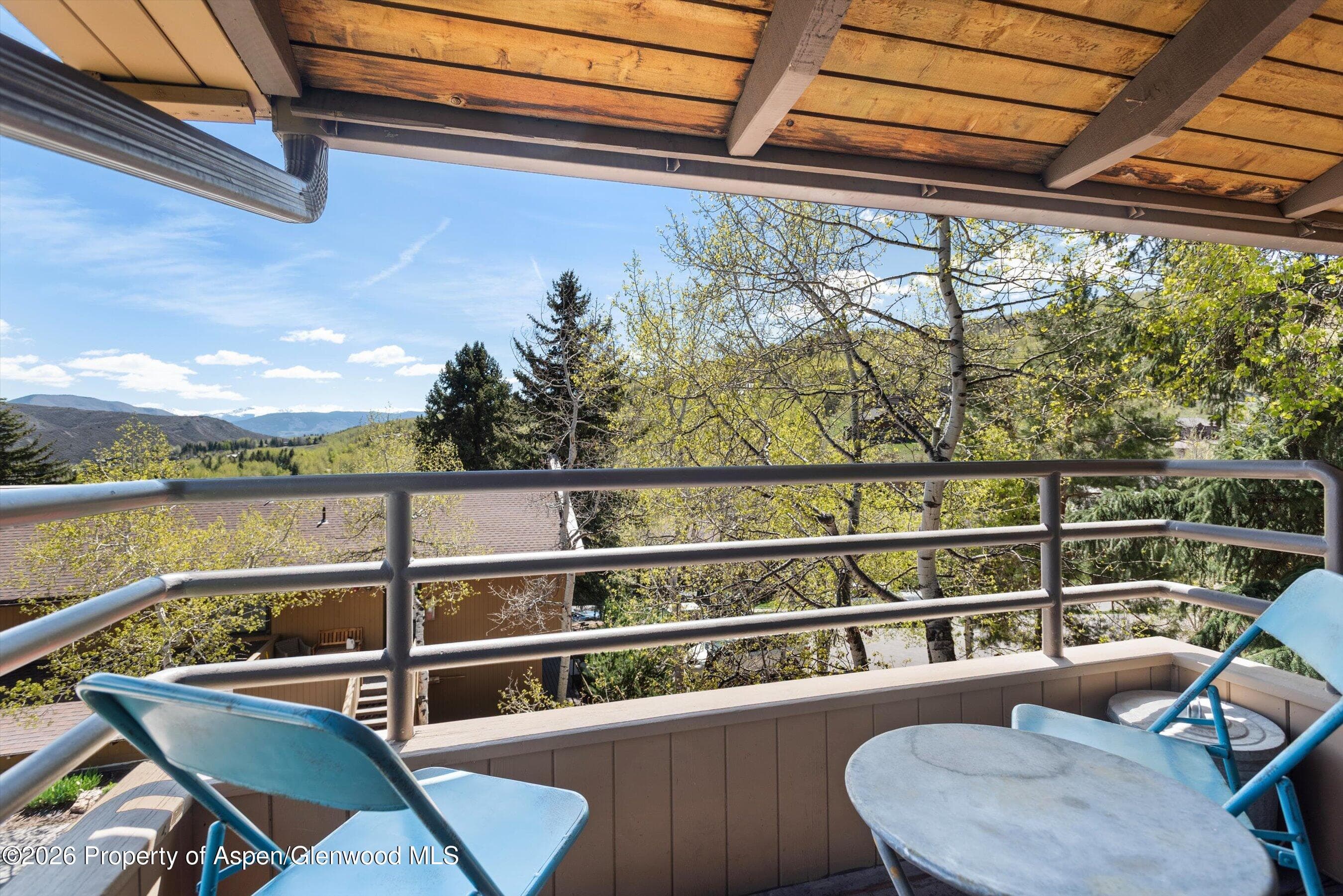 35 Lower Woodbridge Road 174, Snowmass Village, CO 81615 - Photo 7