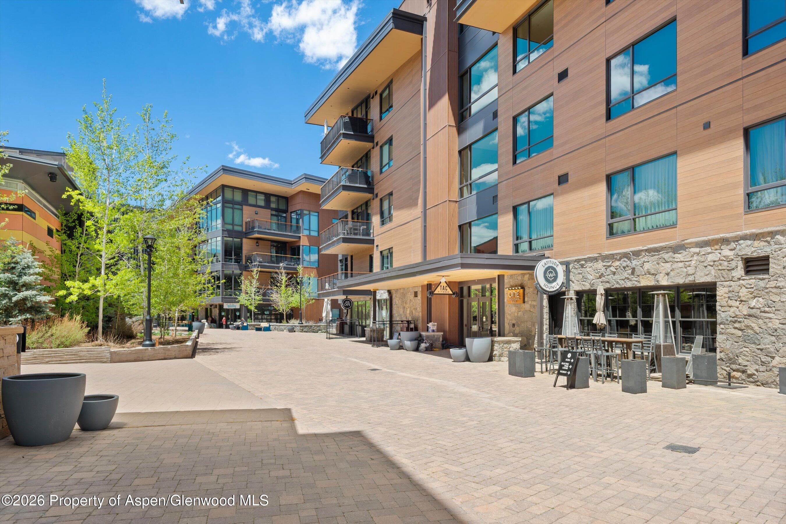 77 Wood Road 501 East, Snowmass Village, CO 81615 - Photo 36