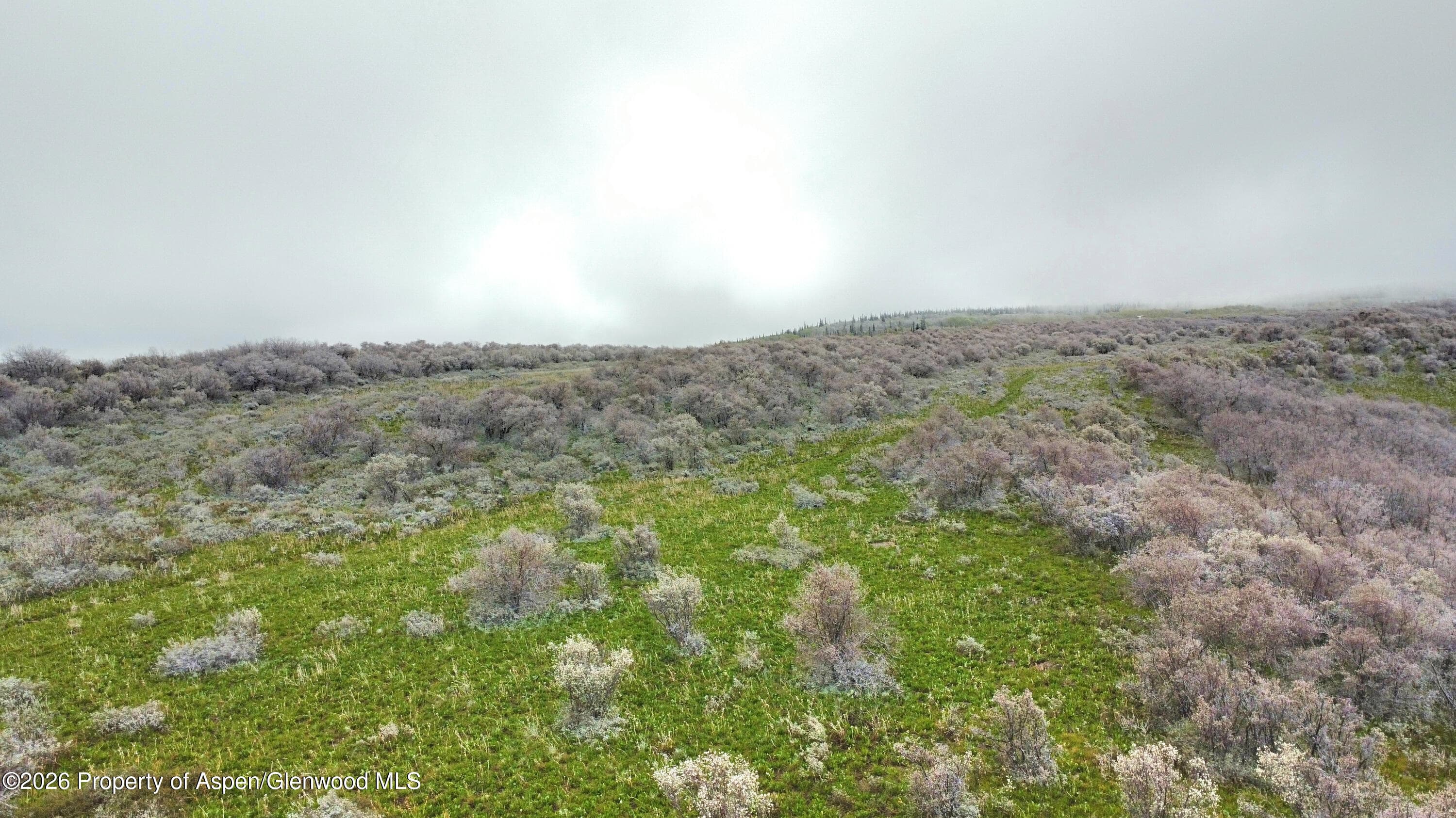 1750 Fiddleneck Drive Lot 44, Craig, CO 81625 - Photo 16