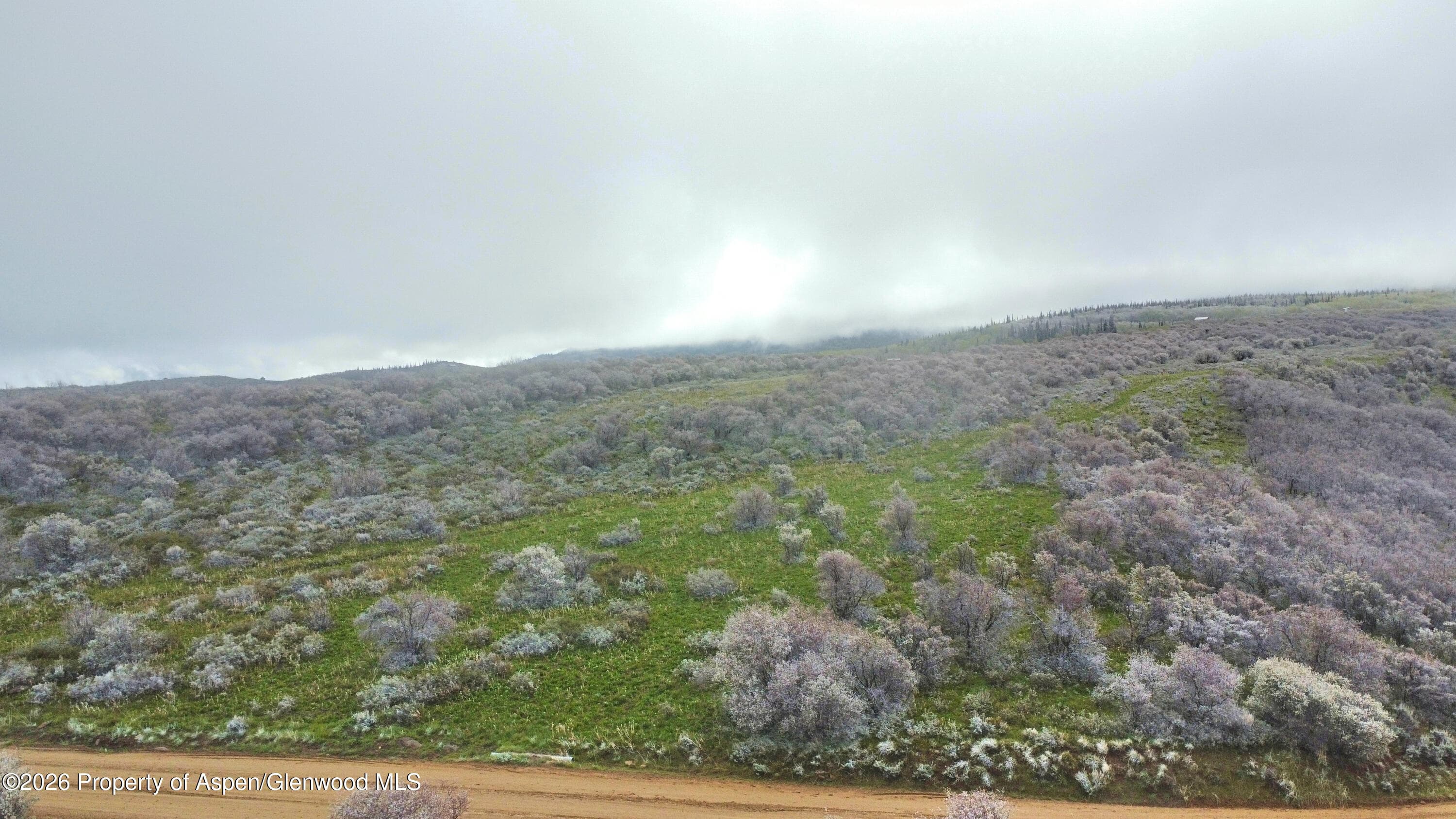 1750 Fiddleneck Drive Lot 44, Craig, CO 81625 - Photo 21