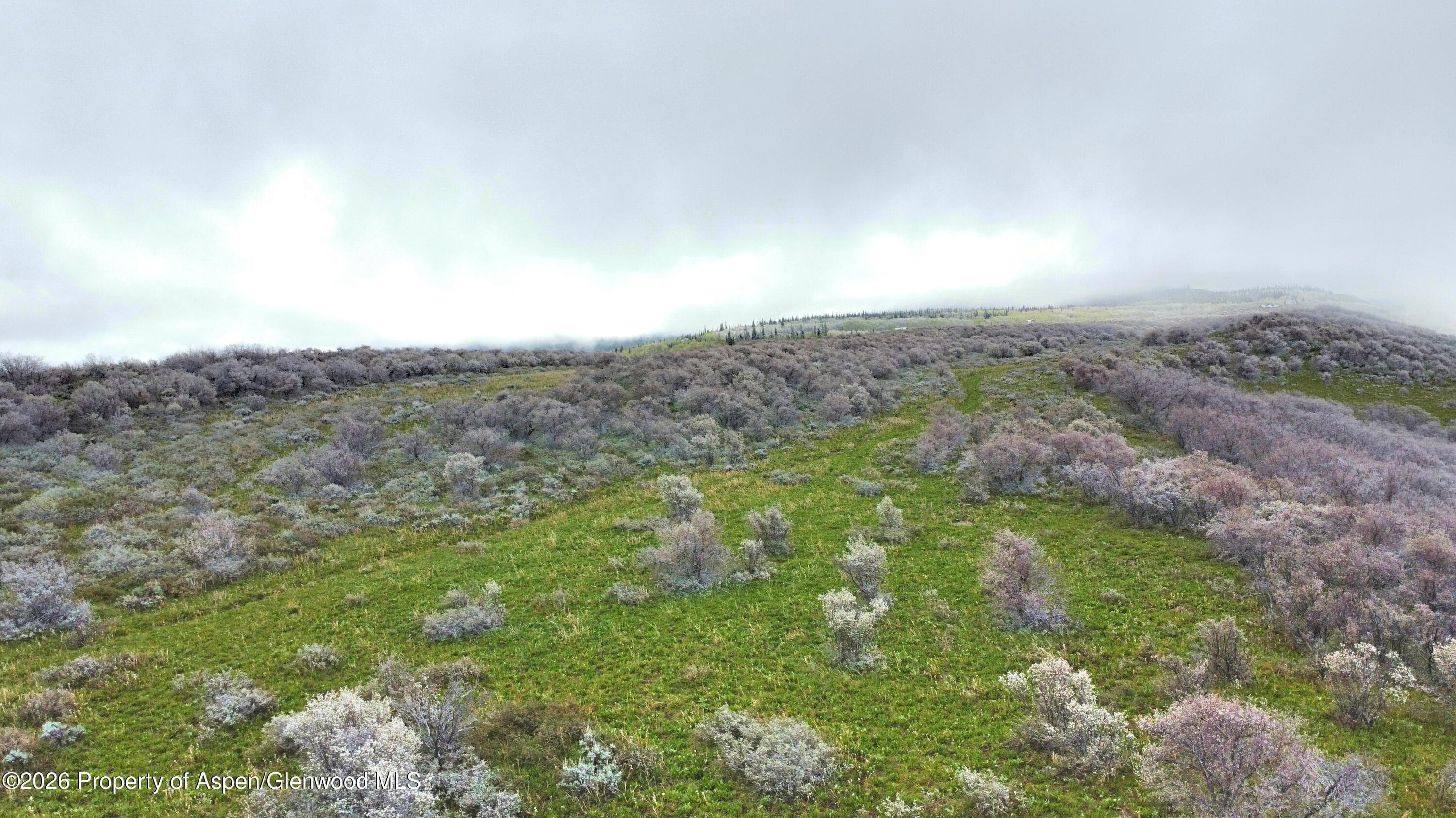 1750 Fiddleneck Drive Lot 44, Craig, CO 81625 - Photo 23