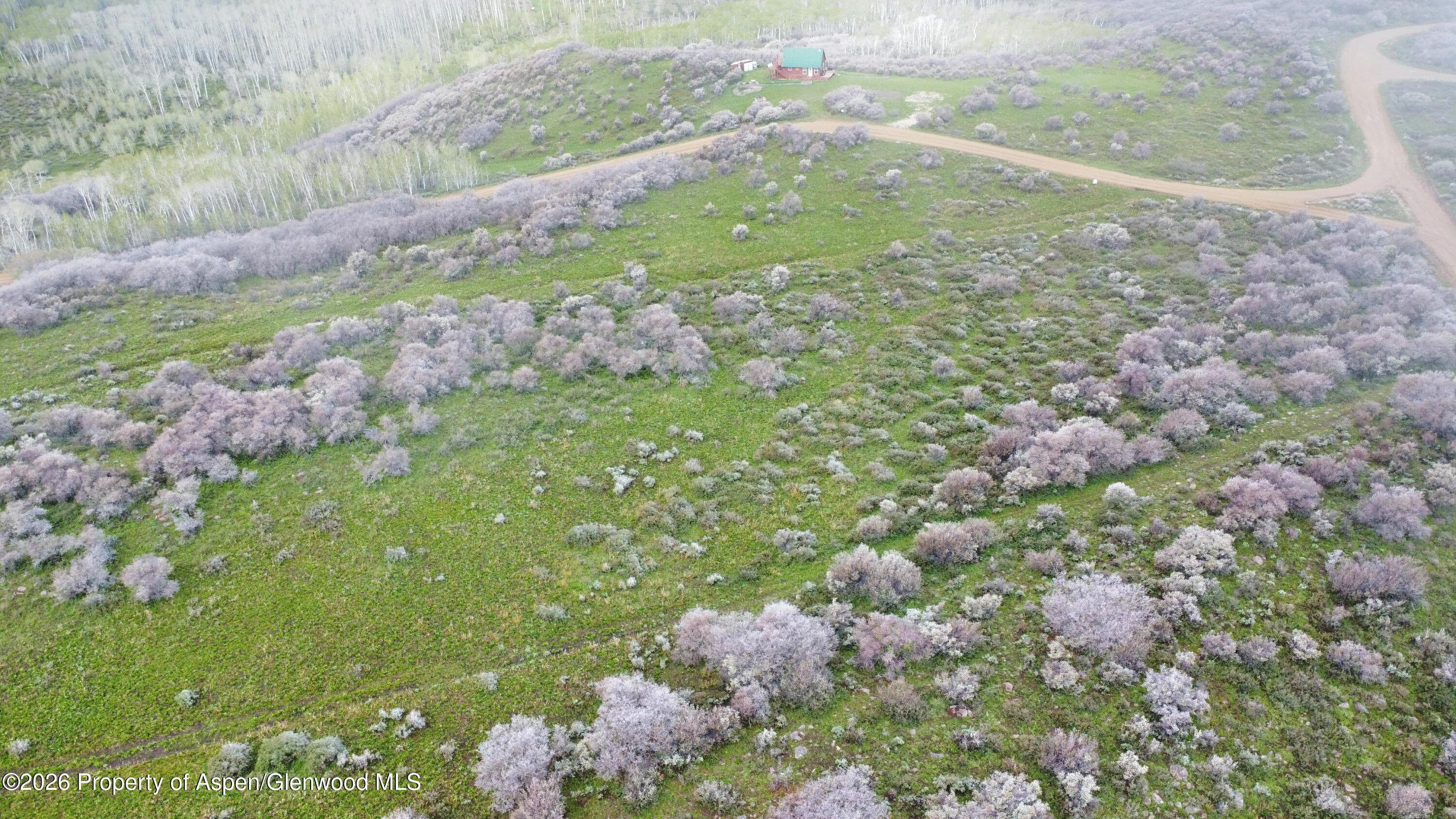 1750 Fiddleneck Drive Lot 44, Craig, CO 81625 - Photo 28