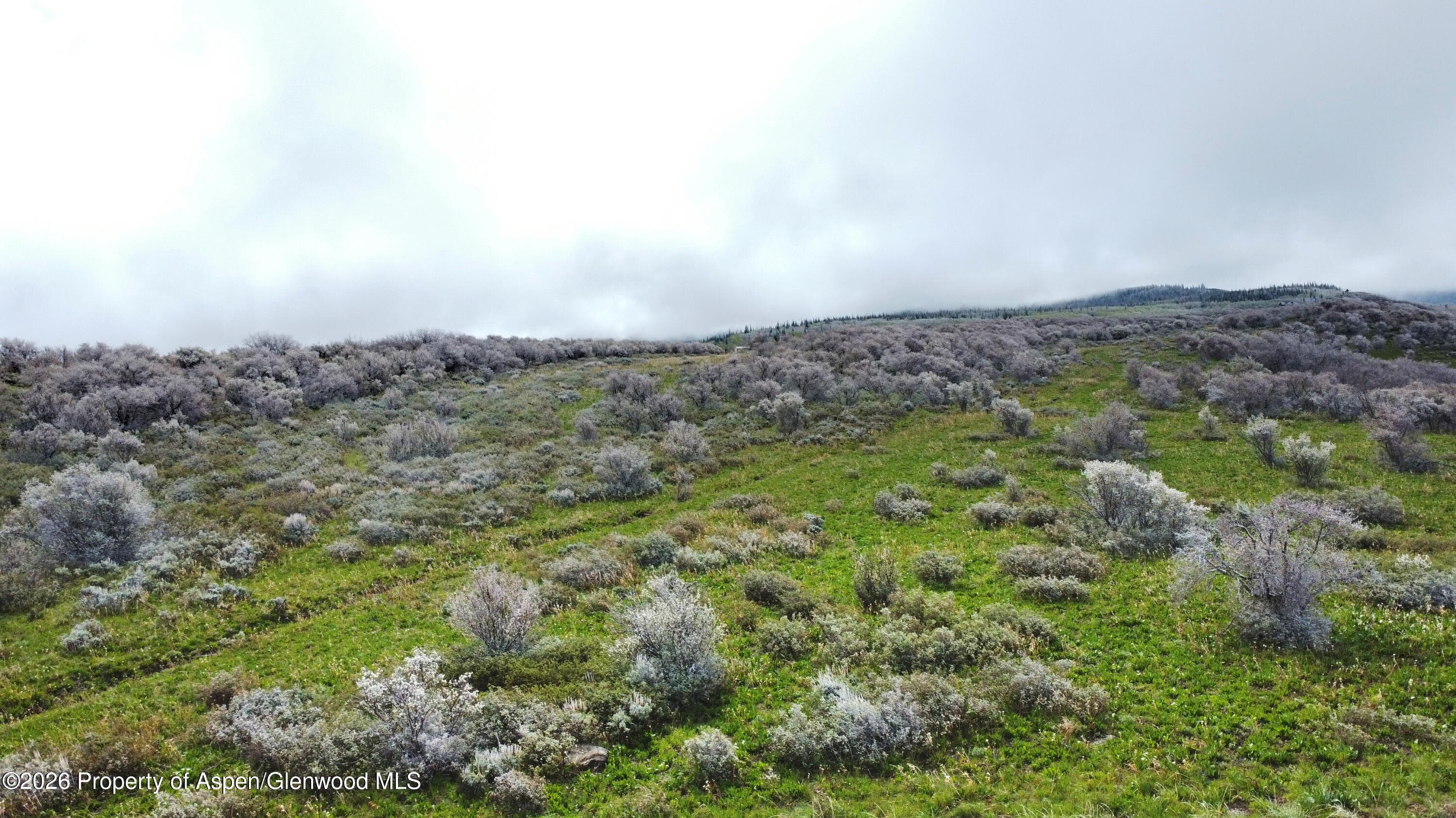 1750 Fiddleneck Drive Lot 44, Craig, CO 81625 - Photo 30