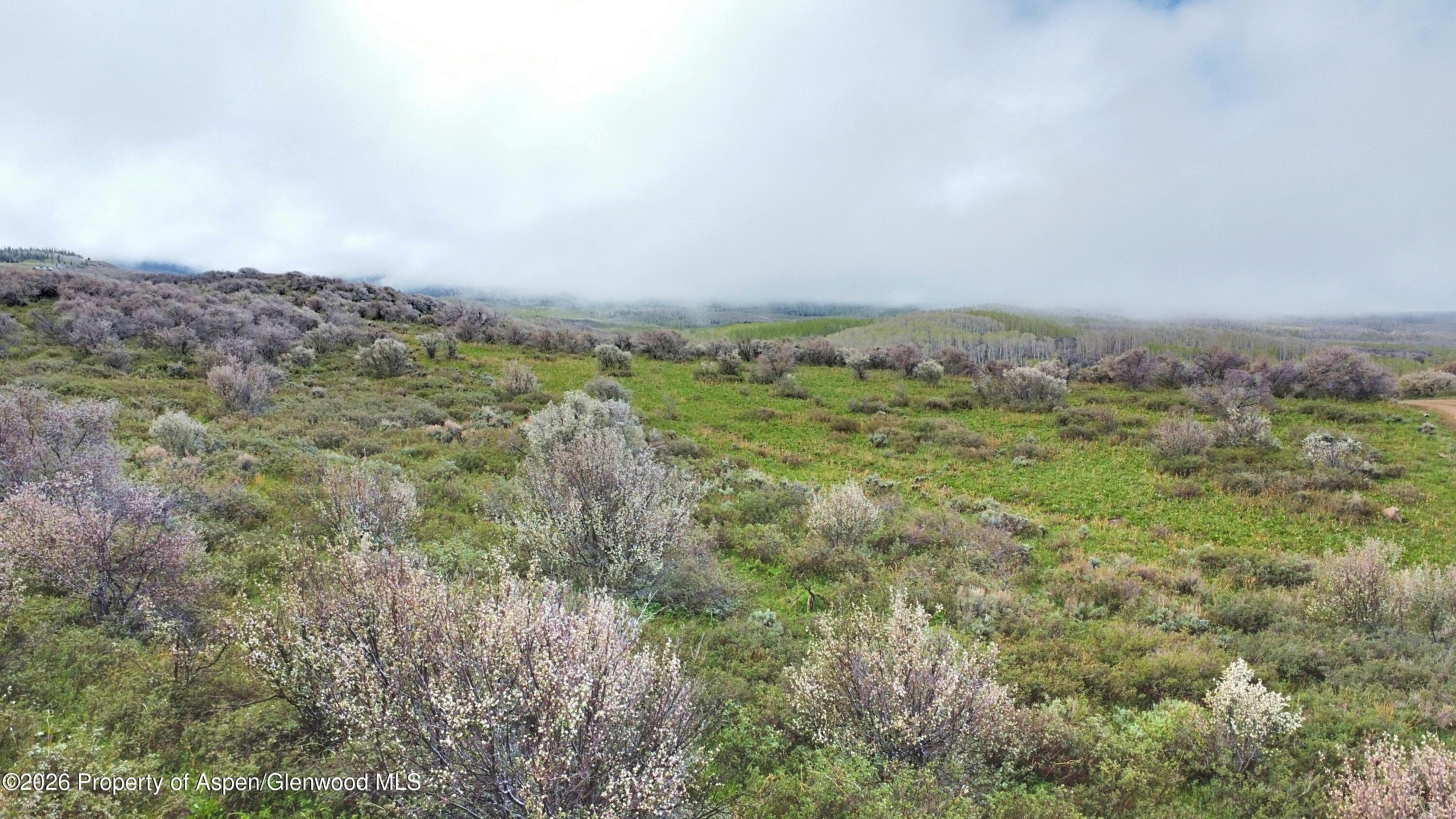 1750 Fiddleneck Drive Lot 44, Craig, CO 81625 - Photo 31