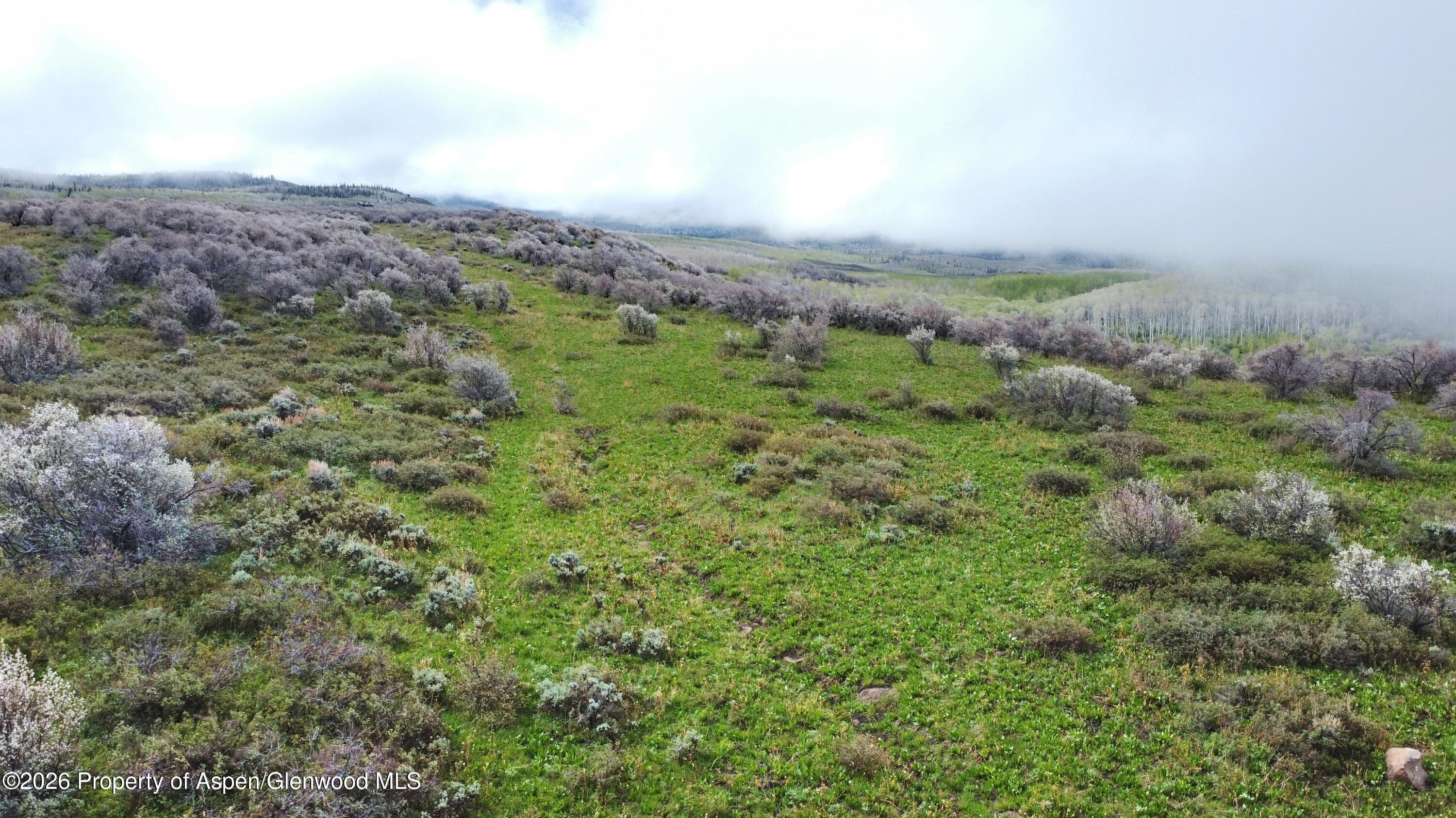 1750 Fiddleneck Drive Lot 44, Craig, CO 81625 - Photo 32