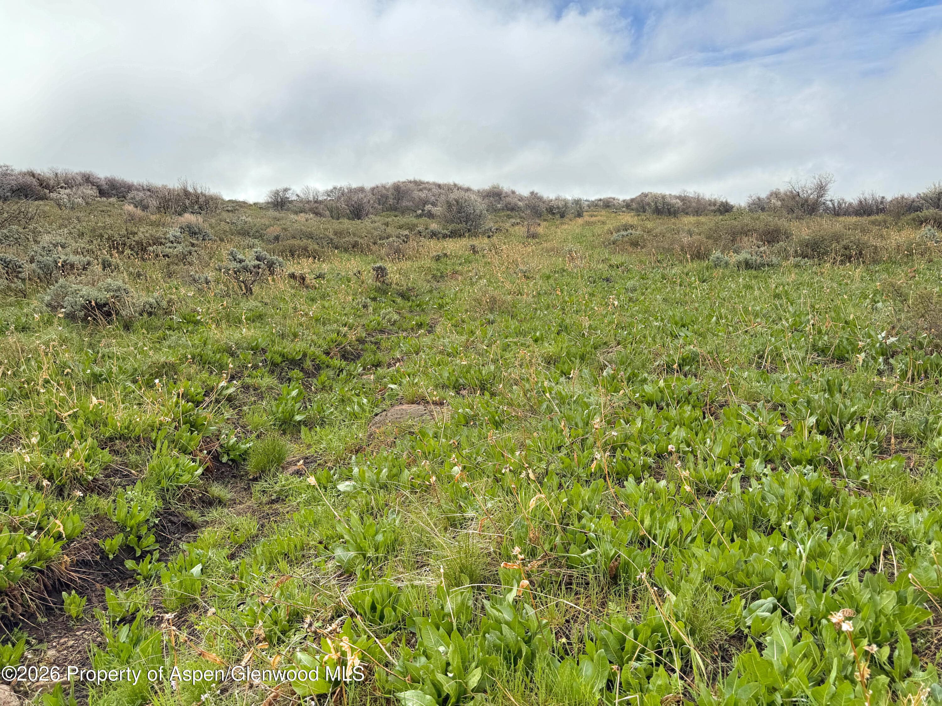 1750 Fiddleneck Drive Lot 44, Craig, CO 81625 - Photo 33