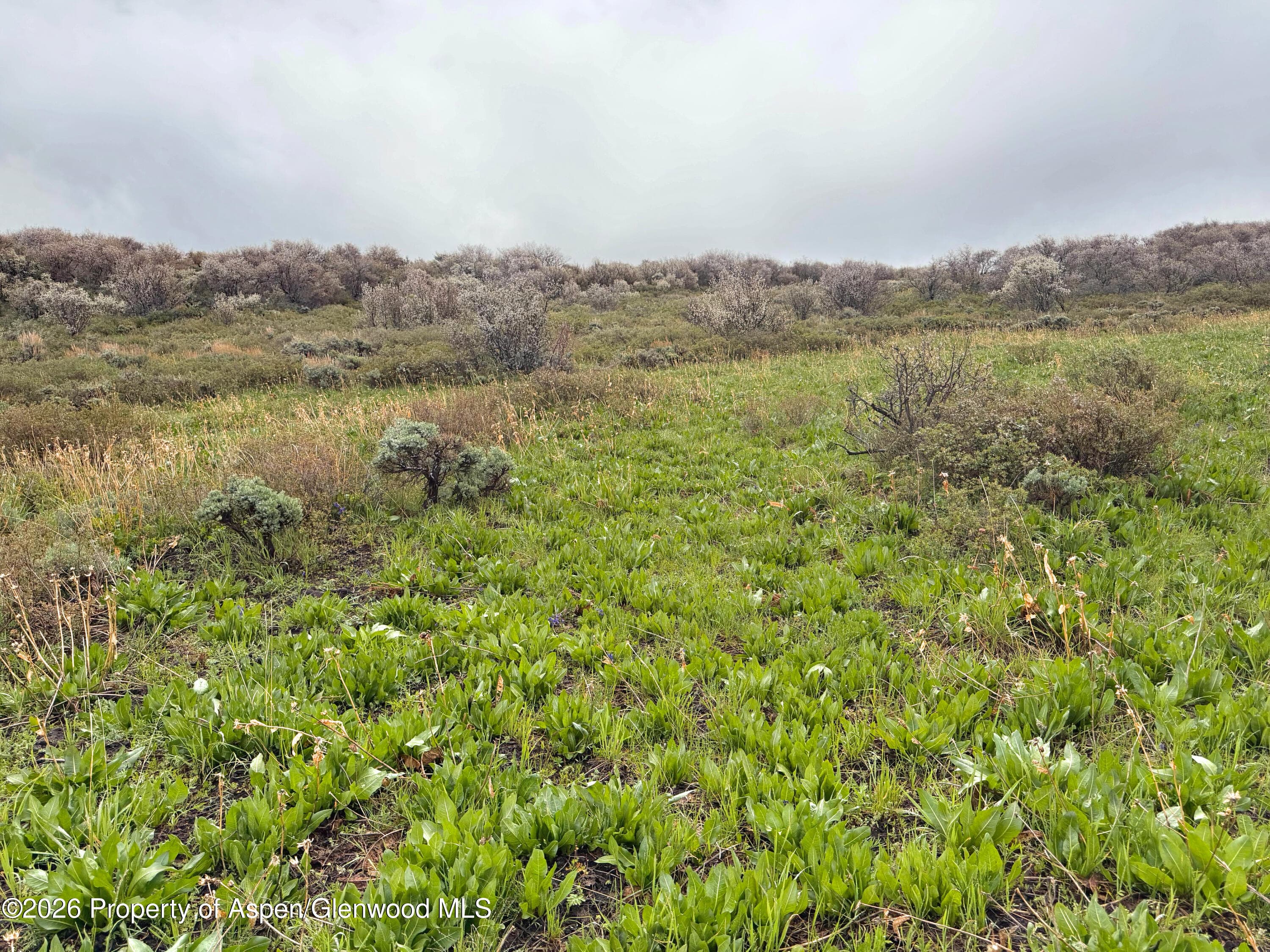 1750 Fiddleneck Drive Lot 44, Craig, CO 81625 - Photo 34