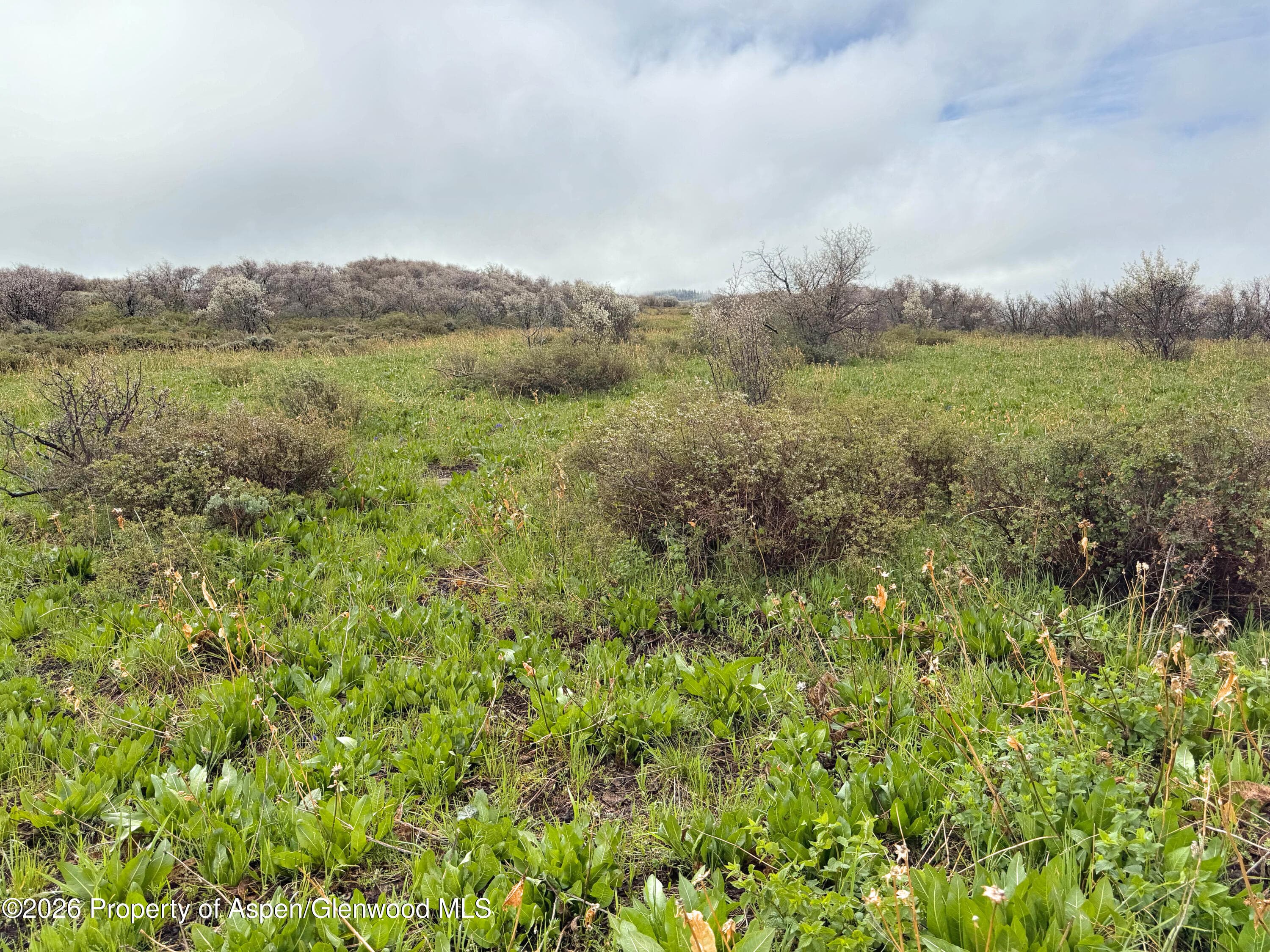 1750 Fiddleneck Drive Lot 44, Craig, CO 81625 - Photo 35