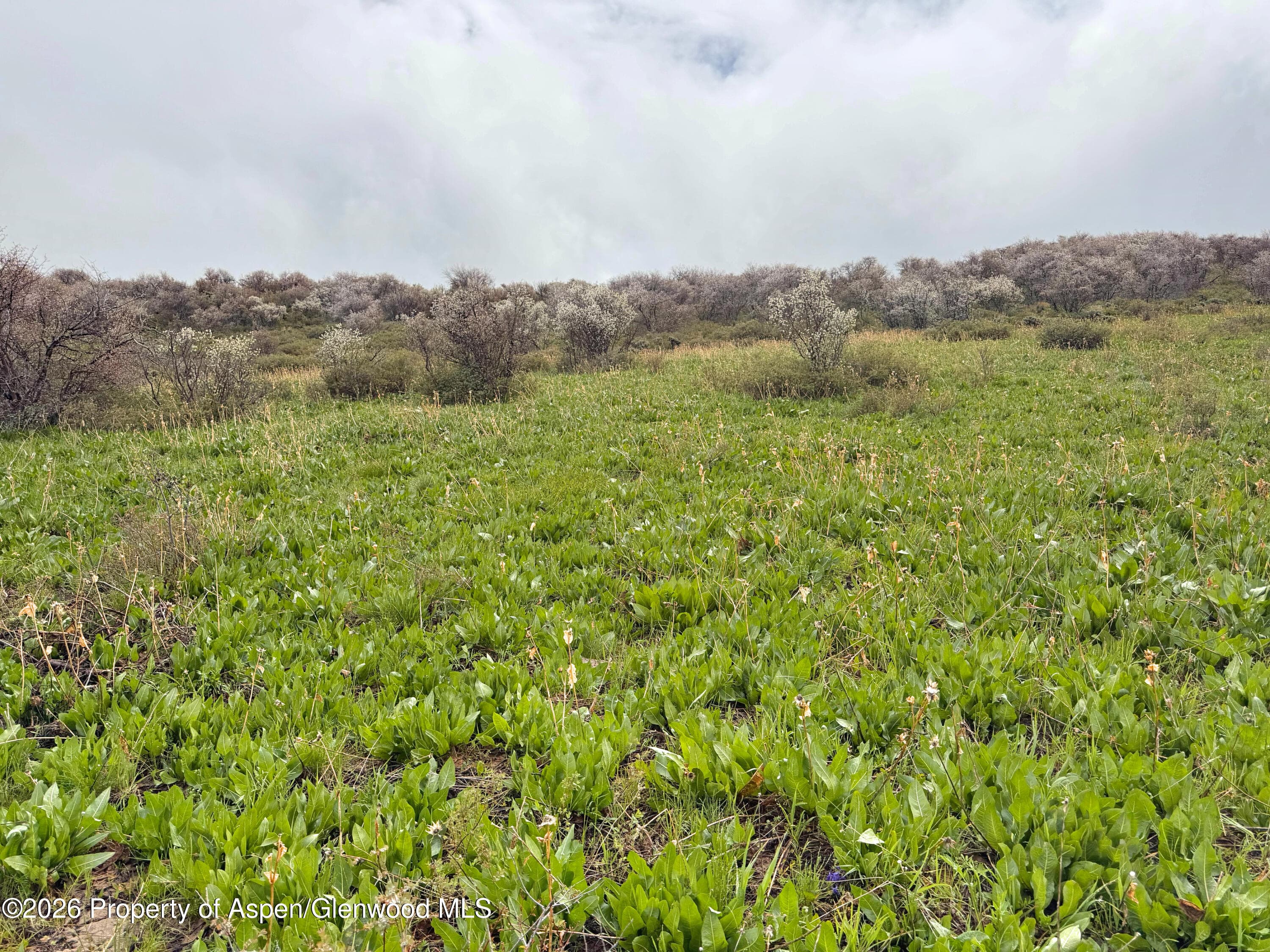 1750 Fiddleneck Drive Lot 44, Craig, CO 81625 - Photo 36