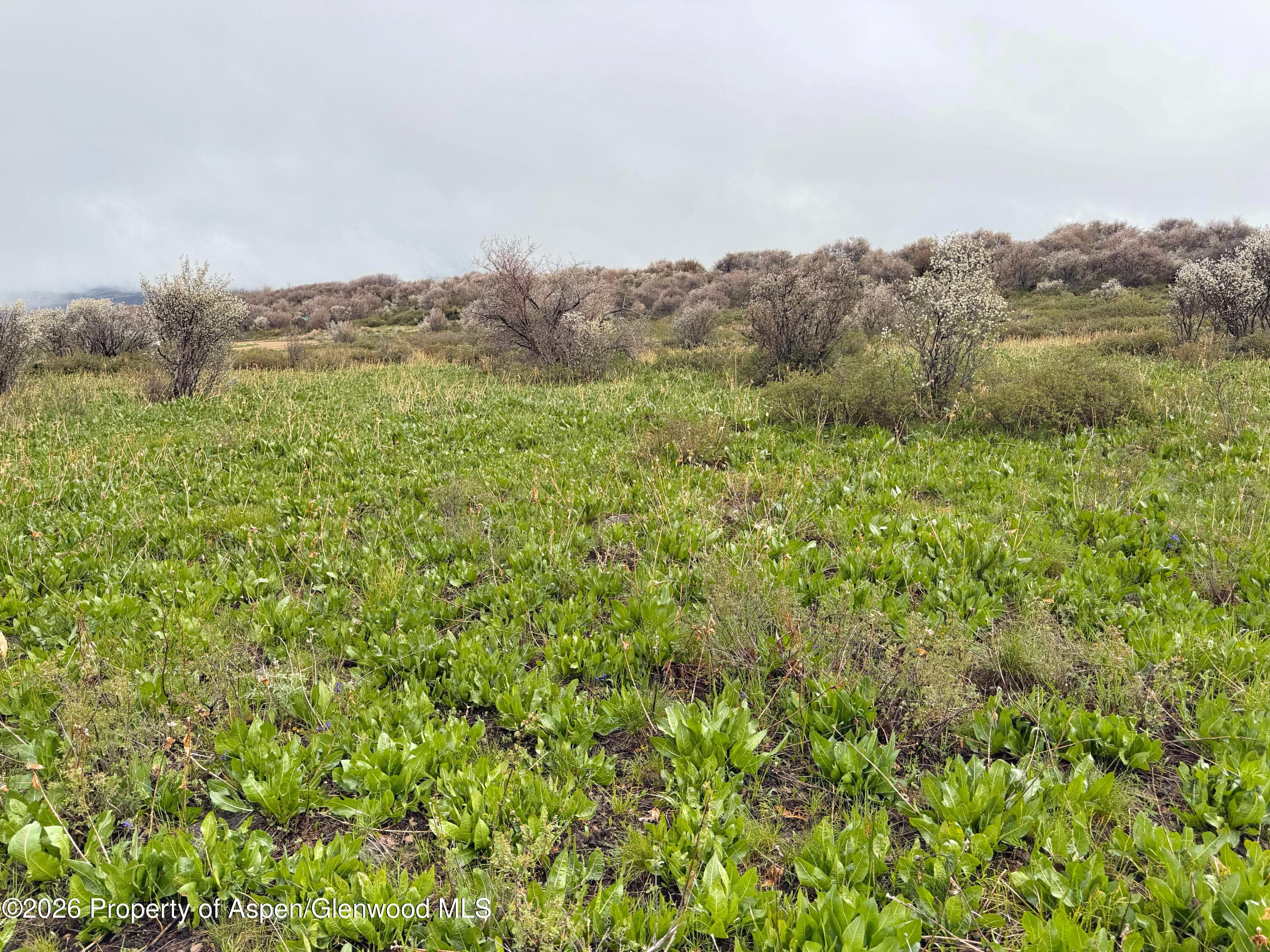 1750 Fiddleneck Drive Lot 44, Craig, CO 81625 - Photo 37