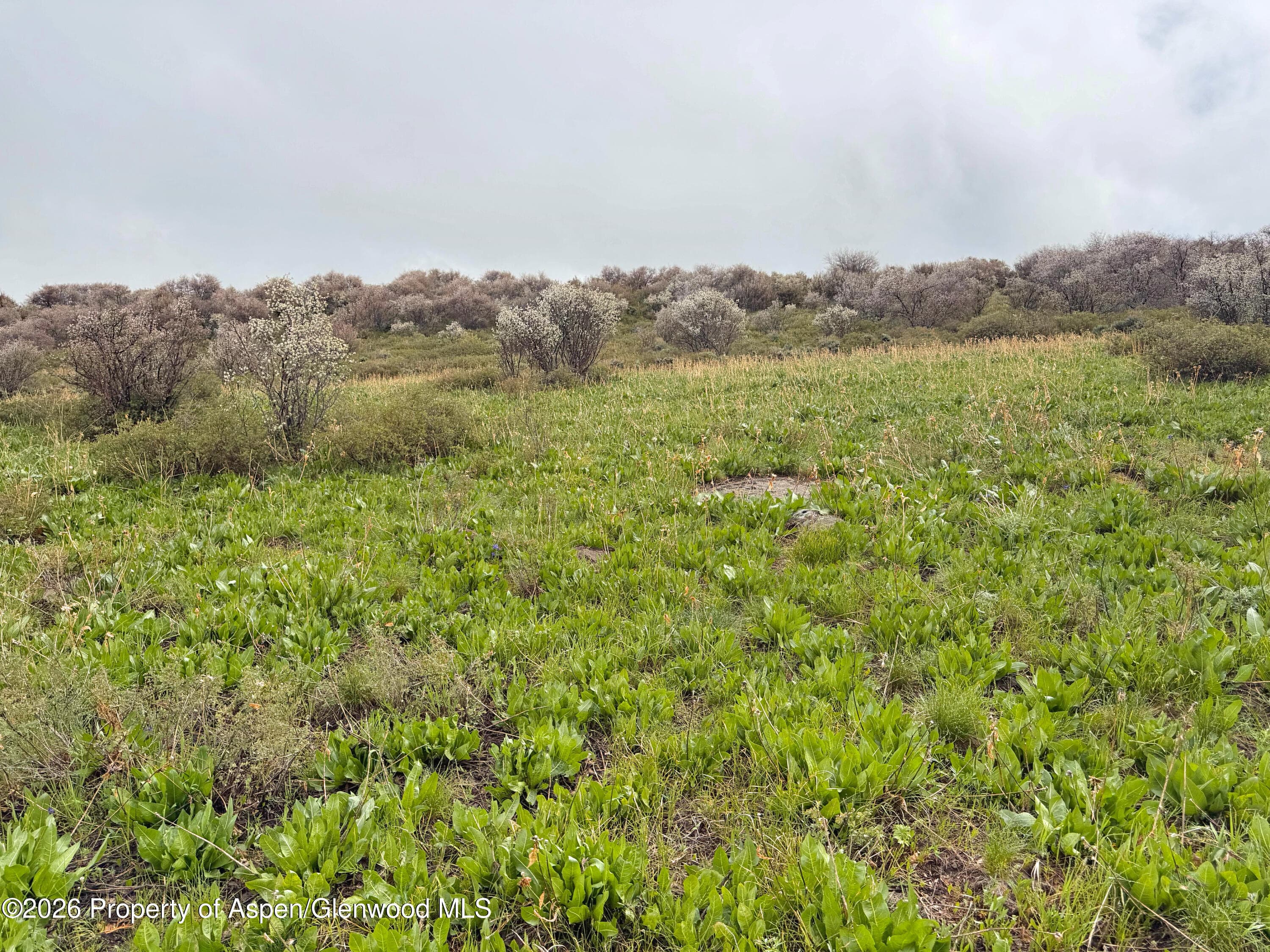 1750 Fiddleneck Drive Lot 44, Craig, CO 81625 - Photo 38