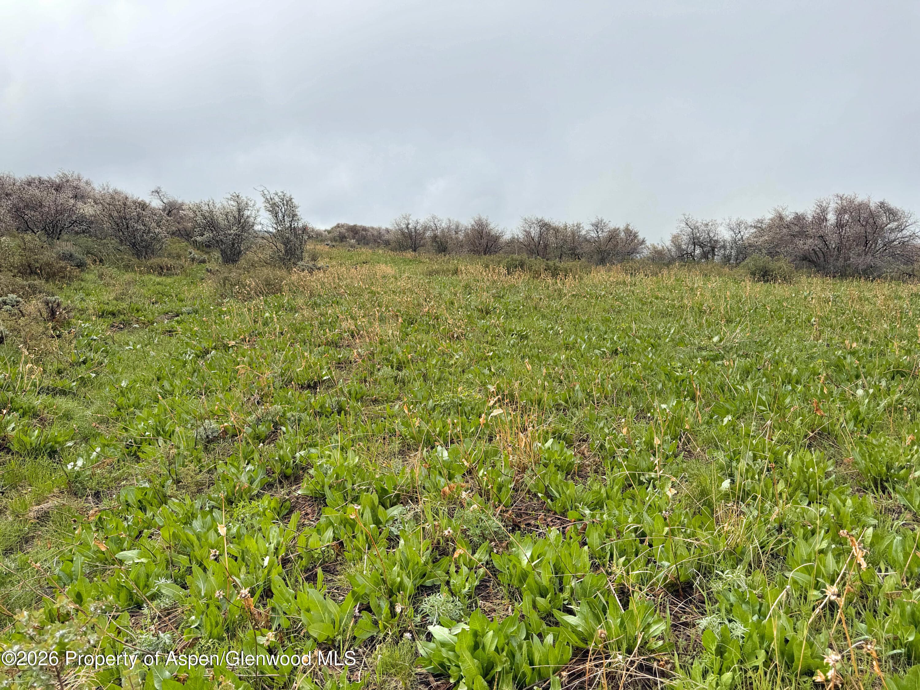 1750 Fiddleneck Drive Lot 44, Craig, CO 81625 - Photo 39