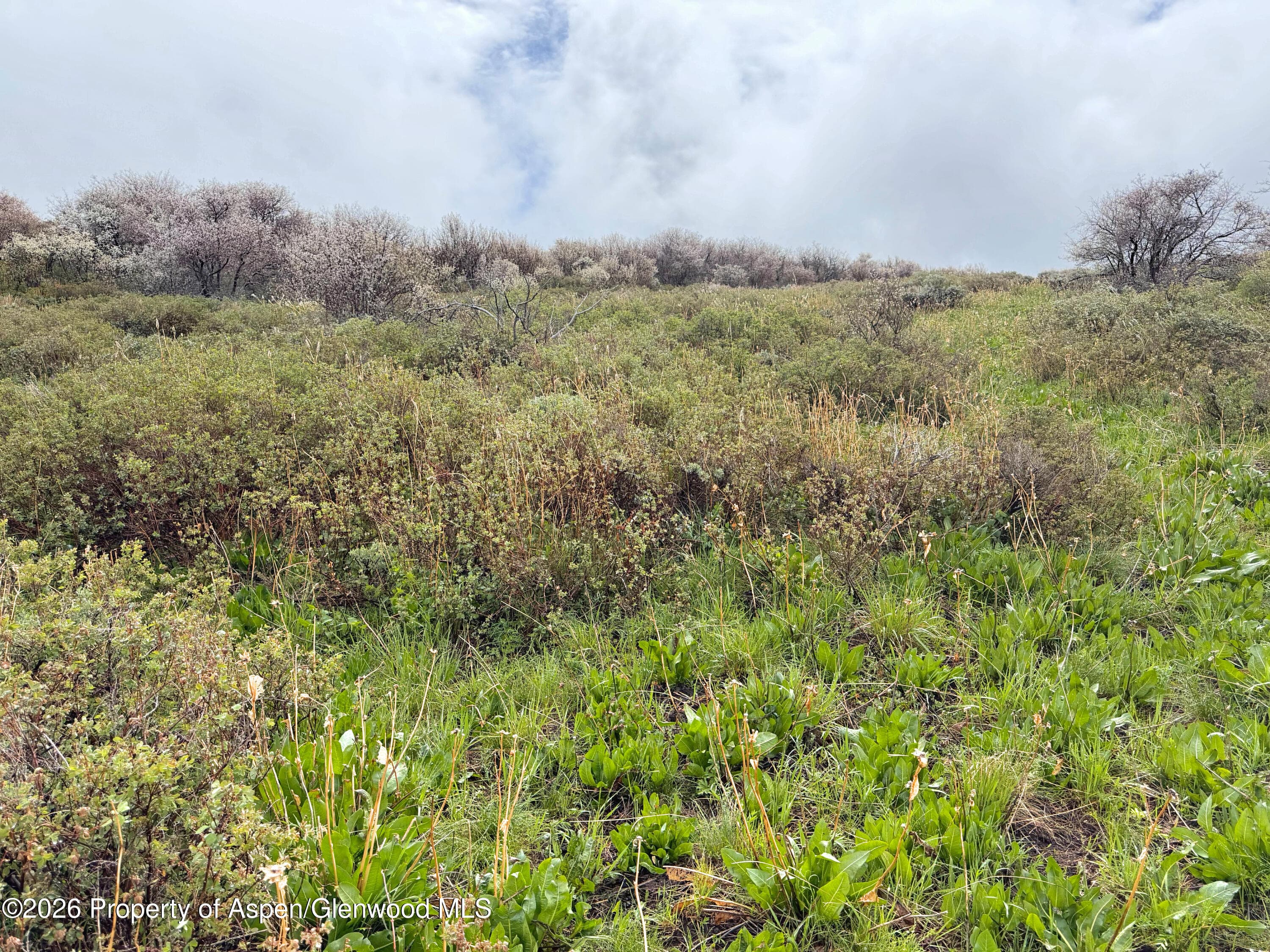 1750 Fiddleneck Drive Lot 44, Craig, CO 81625 - Photo 40