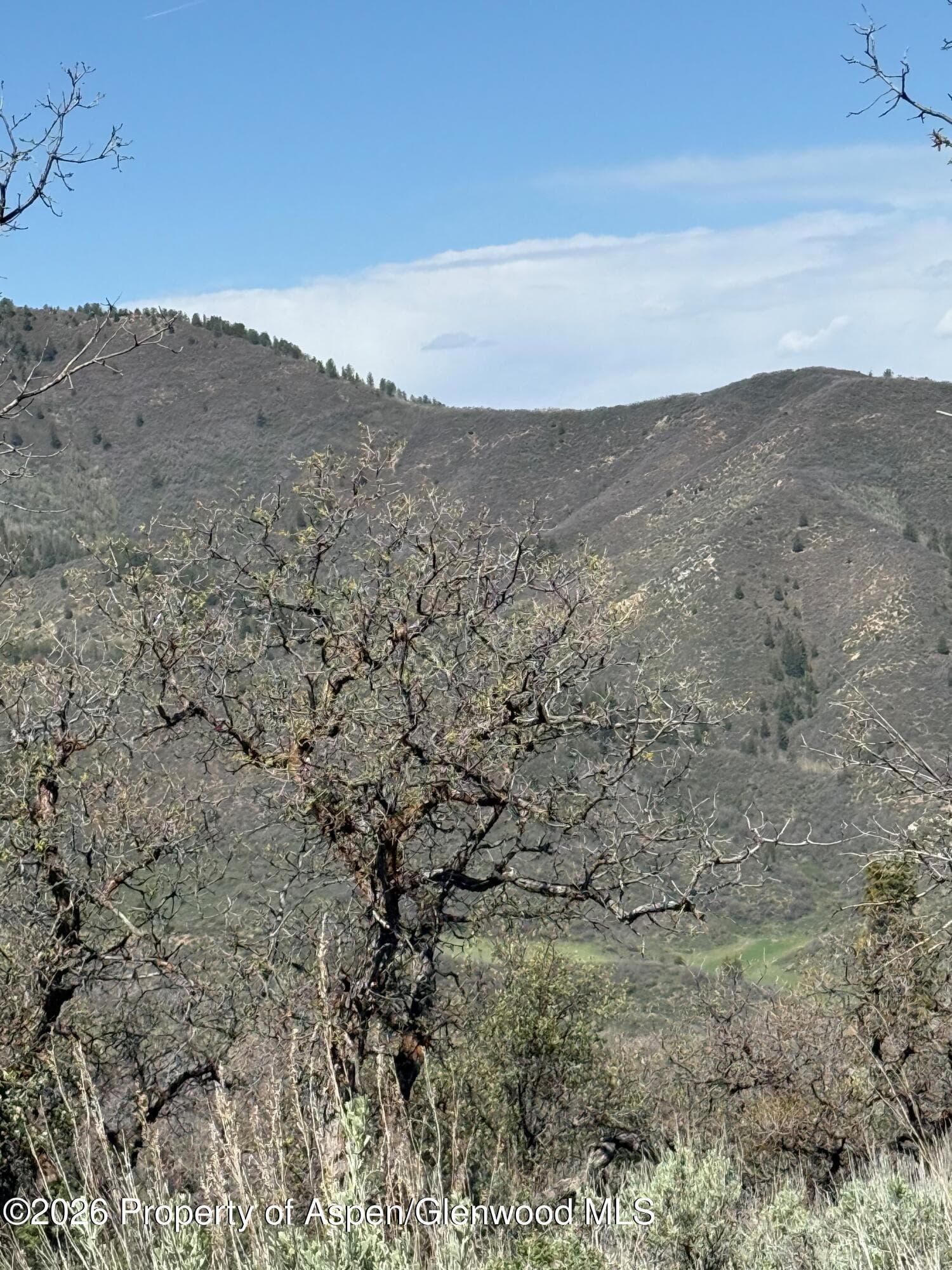 0 South Fork Road, Rifle, CO 81650 - Photo 8